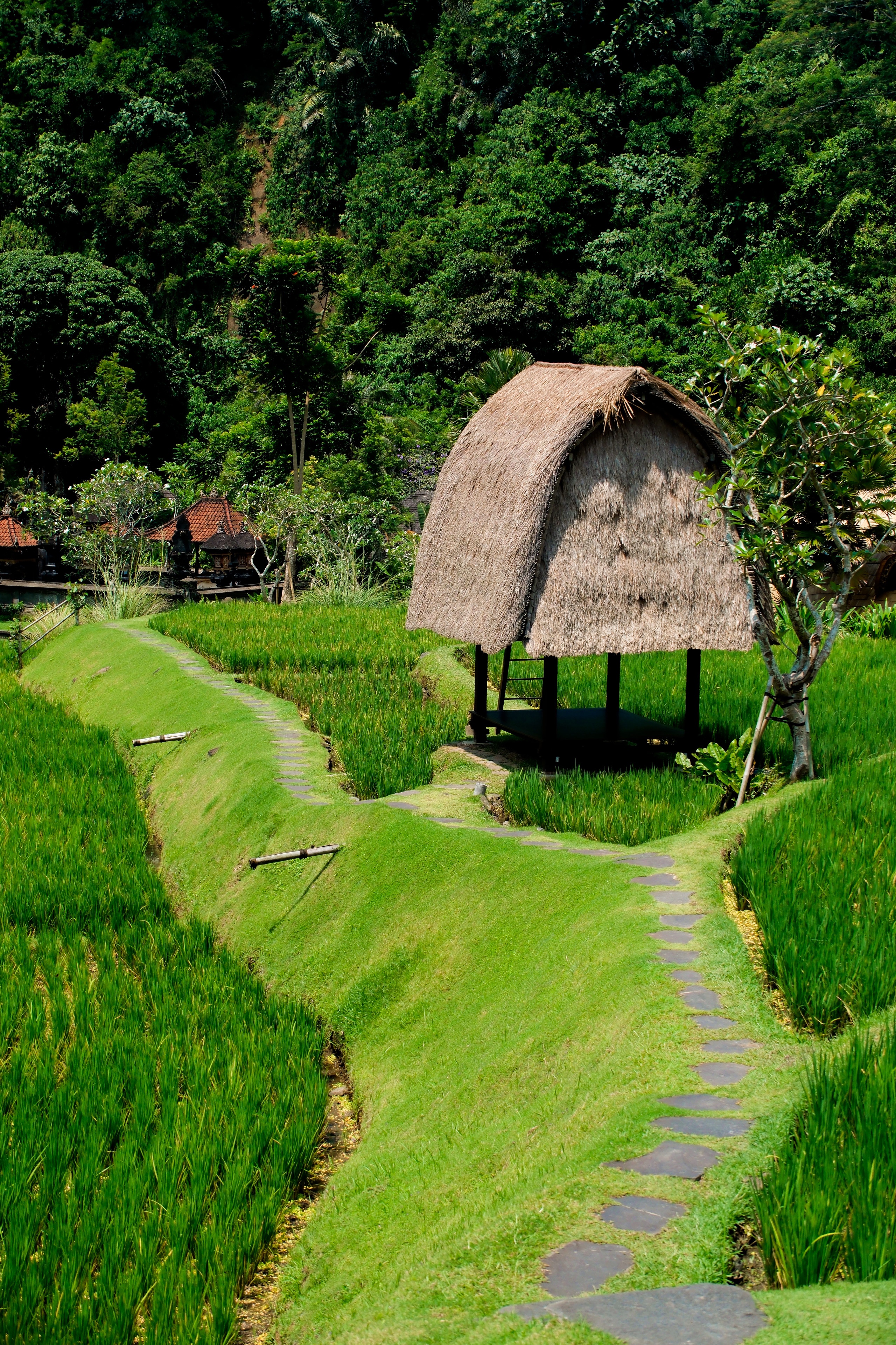 Mandapa, a Ritz-Carlton Reserveס桪¤۾棬ҰĿա