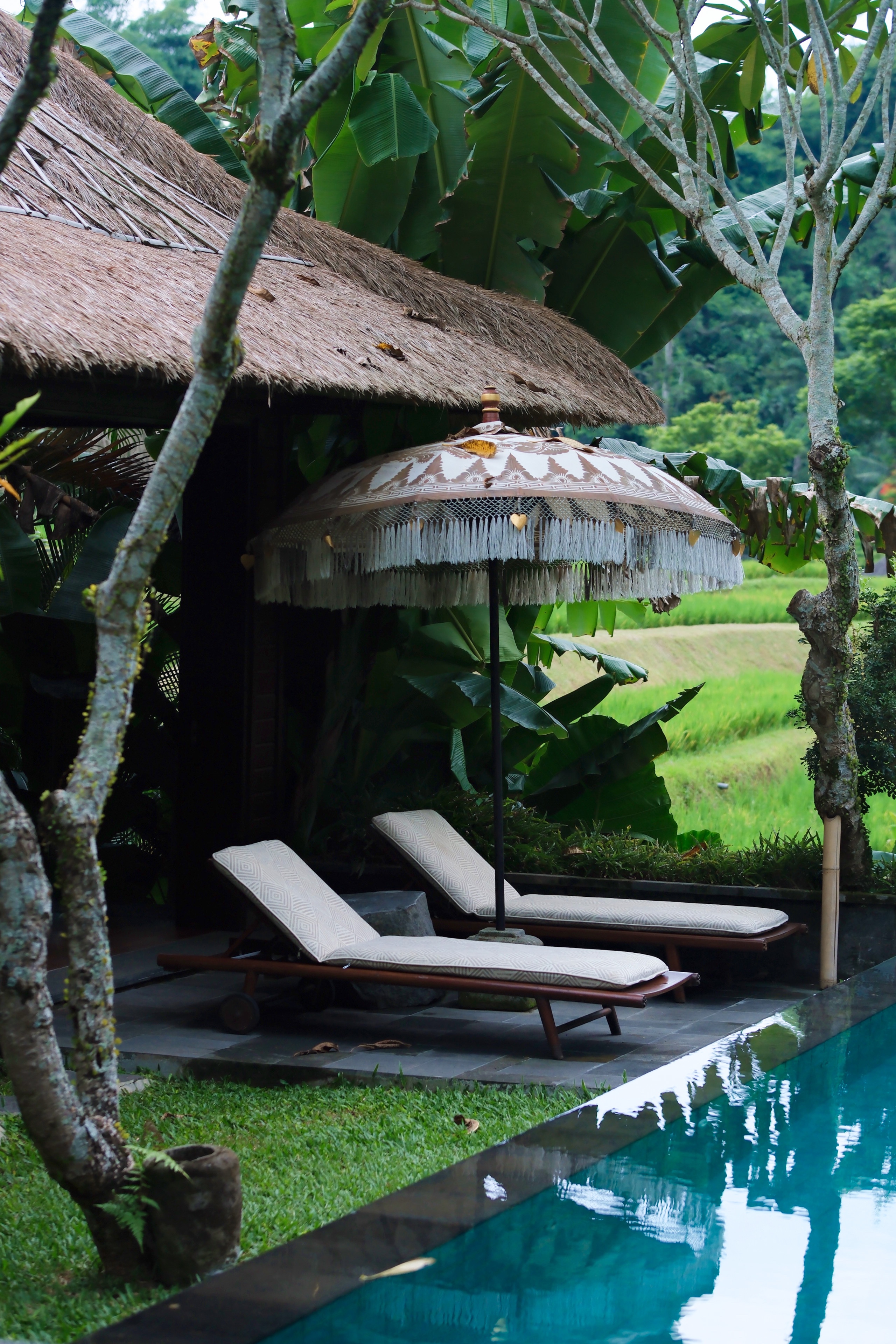 Mandapa, a Ritz-Carlton Reserveס桪¤۾棬ҰĿա