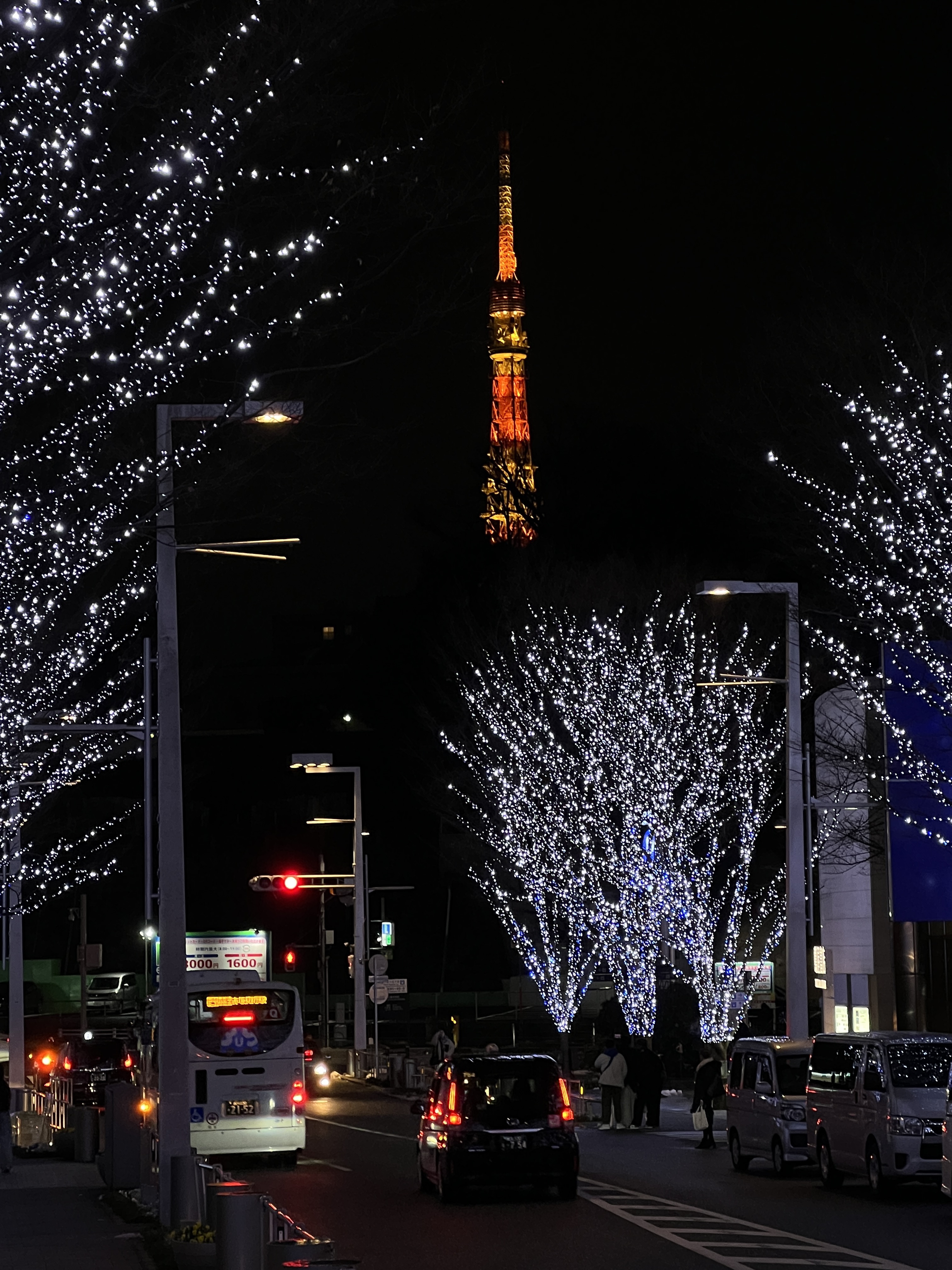 Traveling in JP|򿨶޼ Intercontinental Tokyo Bay