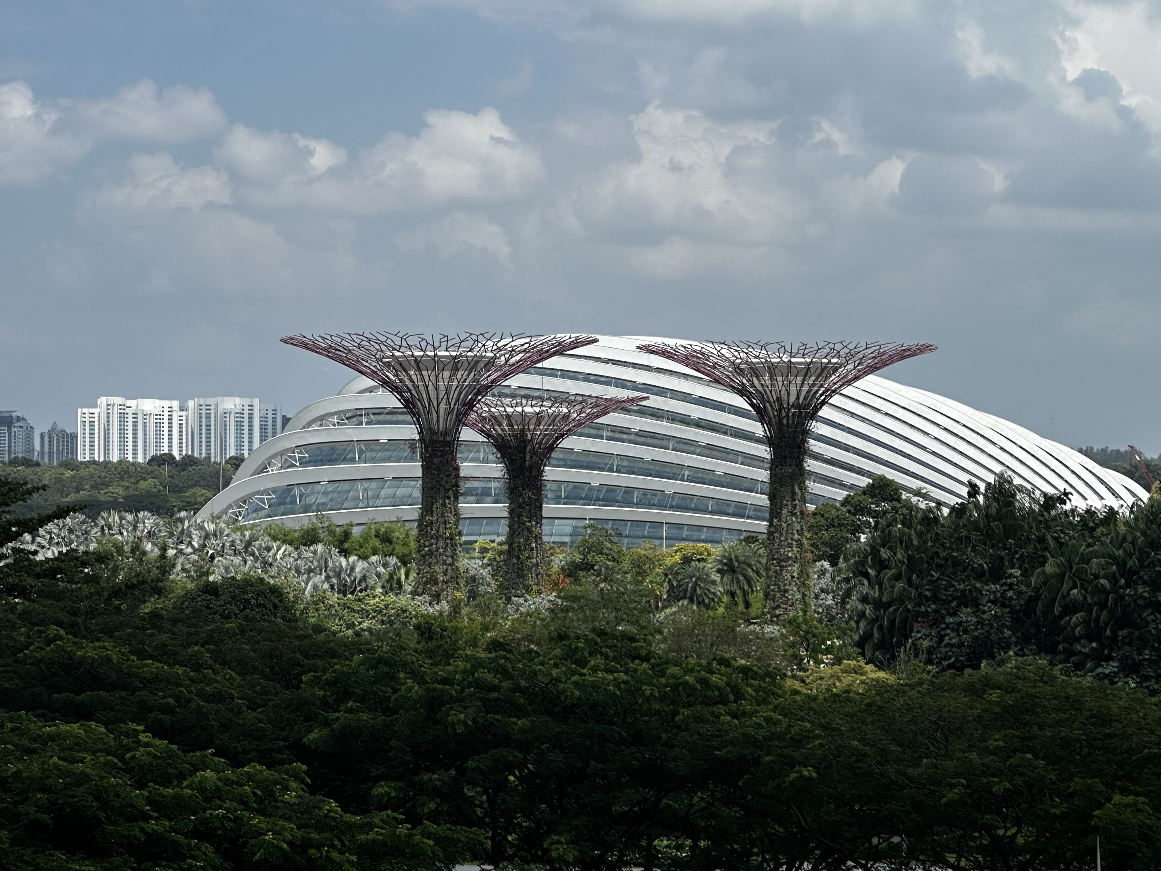 Fourpoints by sheraton singapore riverview