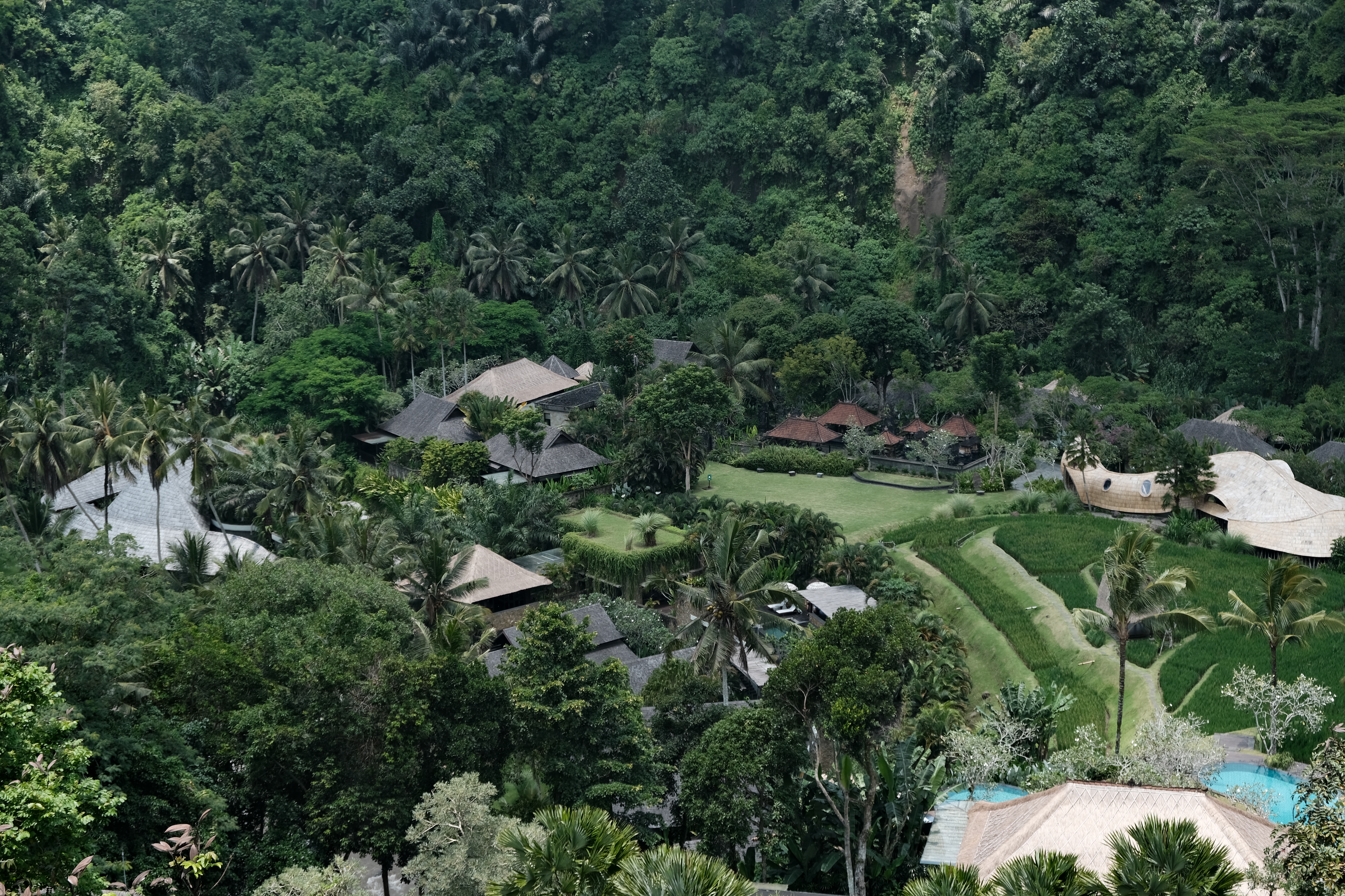 Mandapa a ritzcalton reserve 嵺˼