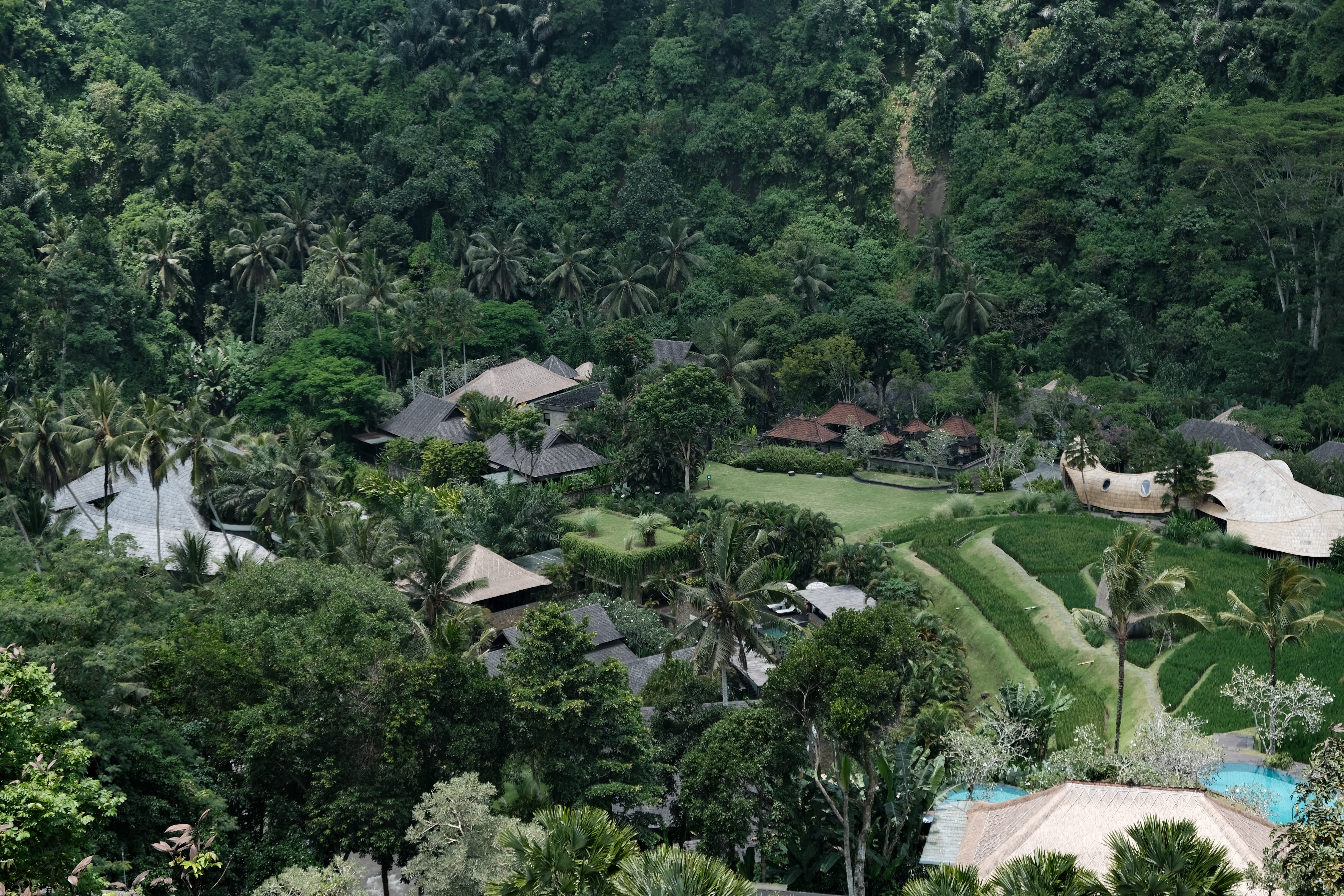 Mandapa a ritzcalton reserve 嵺˼