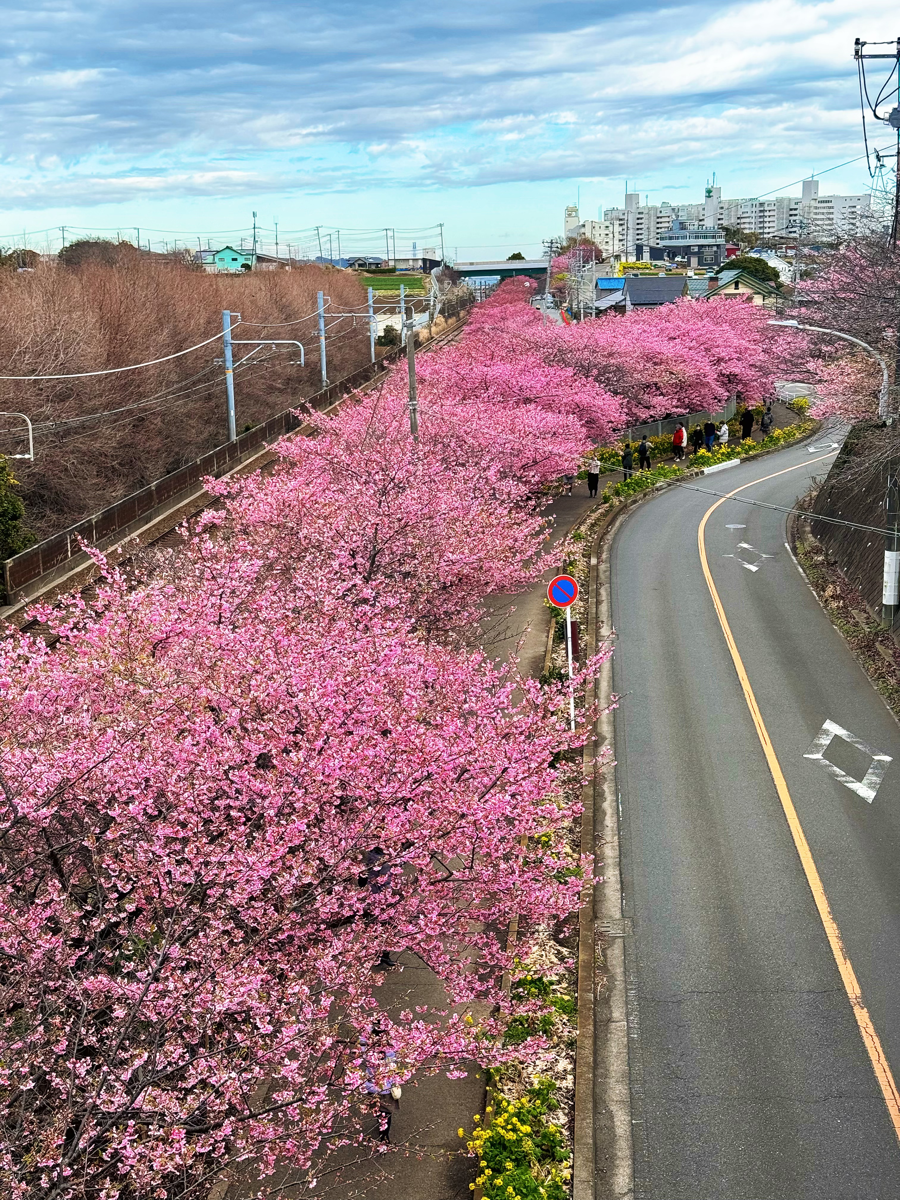 #вͣ#  ãʧΪPark Hyatt Tokyo