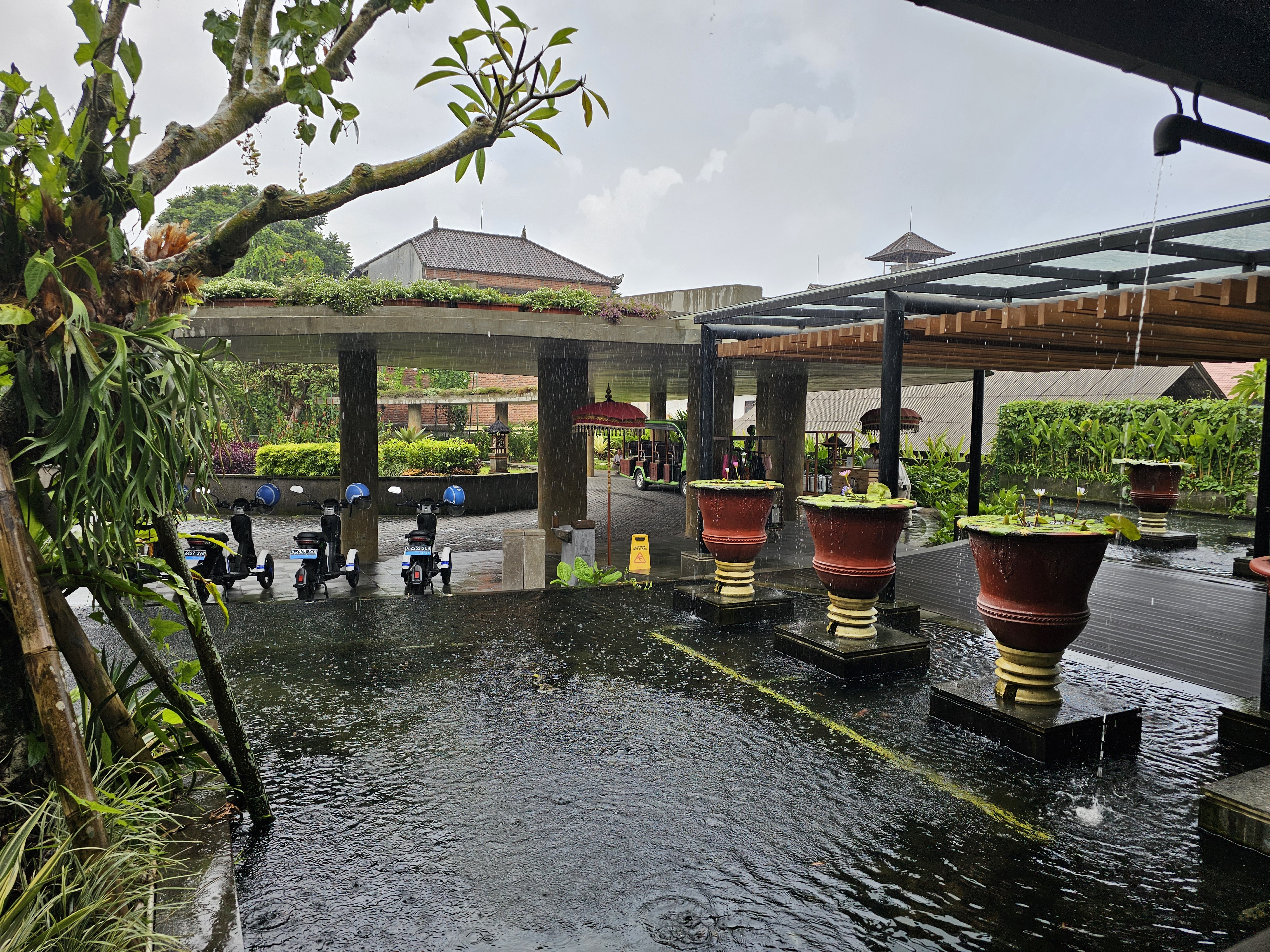 Element by Westin Ubud.A wondeful stay.嵺ƽ