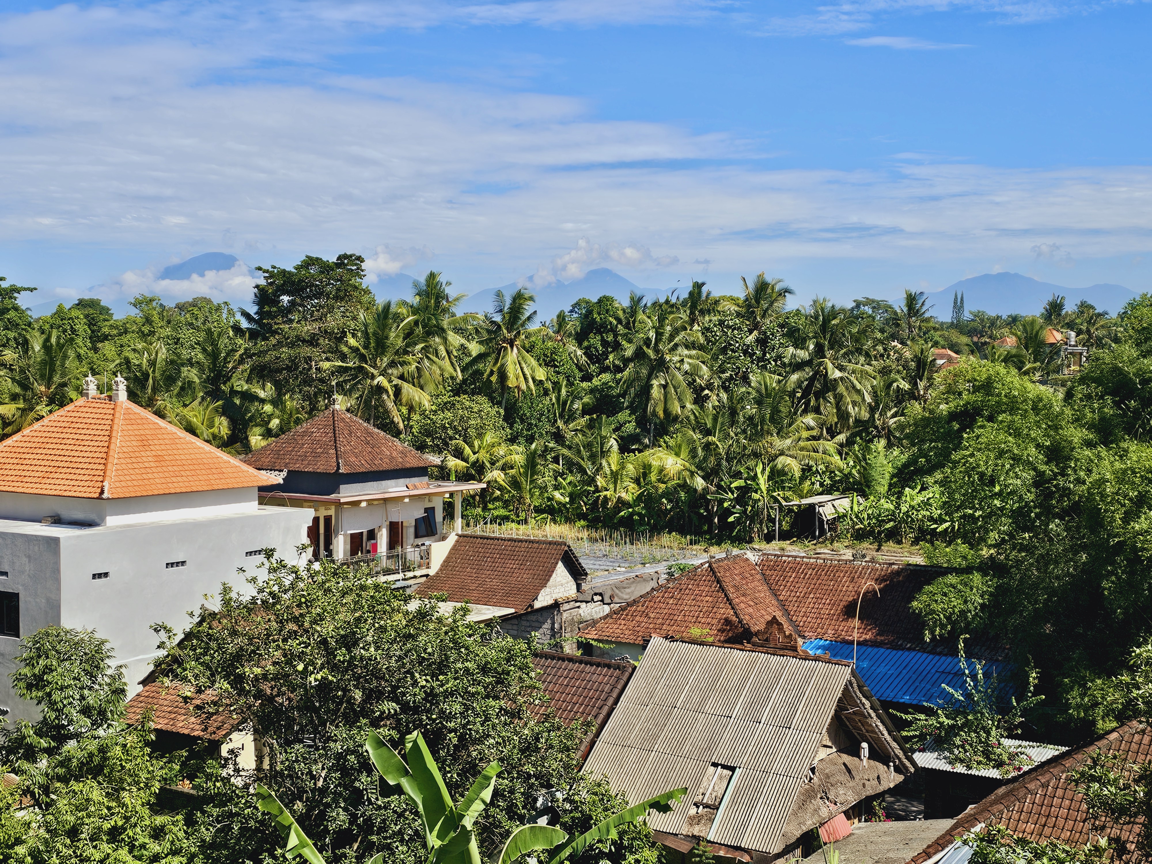 Element by Westin Ubud.A wondeful stay.嵺ƽ