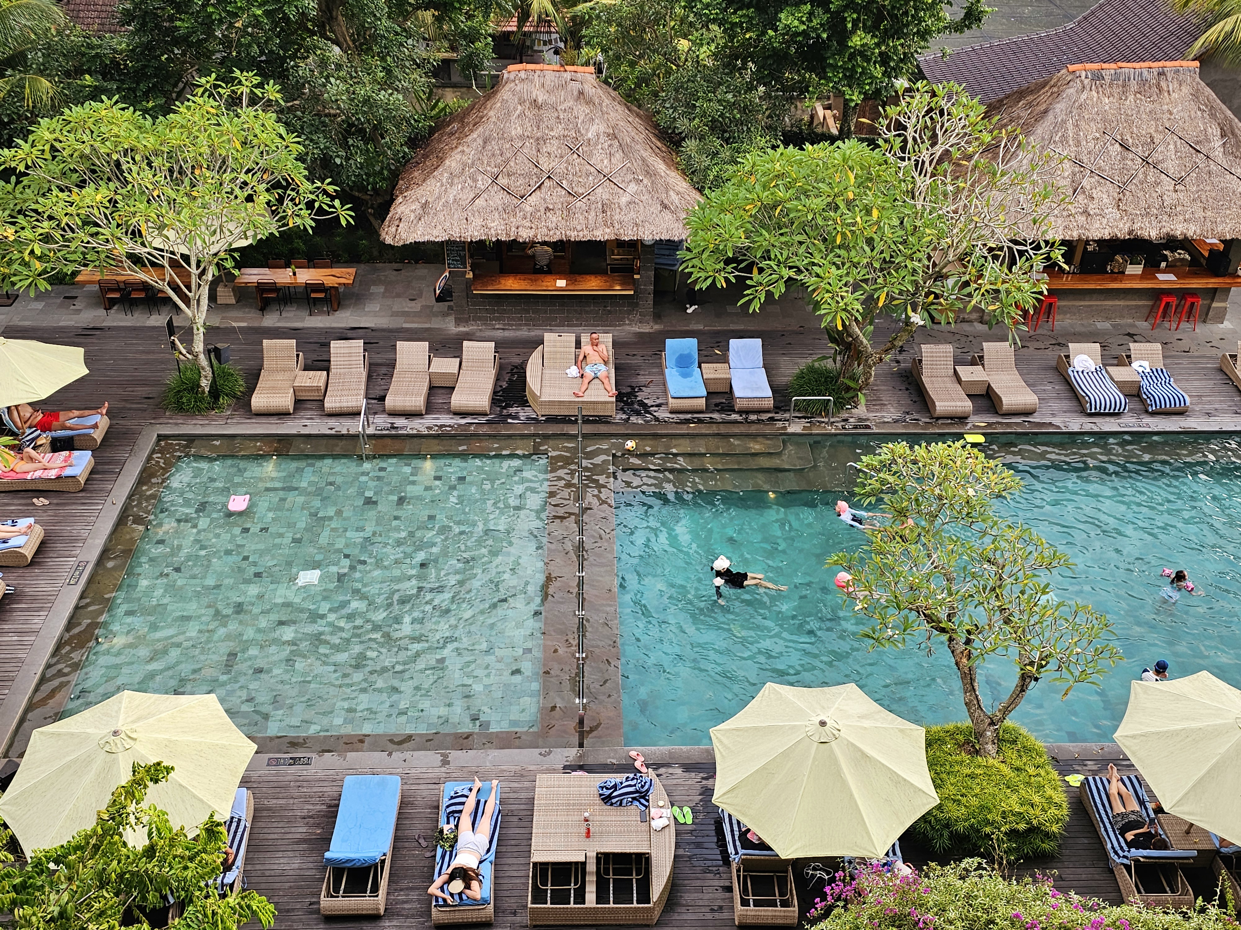 Element by Westin Ubud.A wondeful stay.嵺ƽ