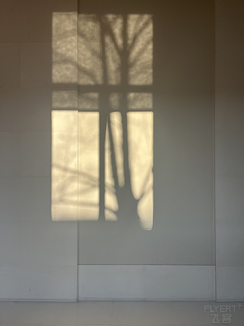 #旅行不能停#再来宁波柏悦/Park Hyatt Ningbo