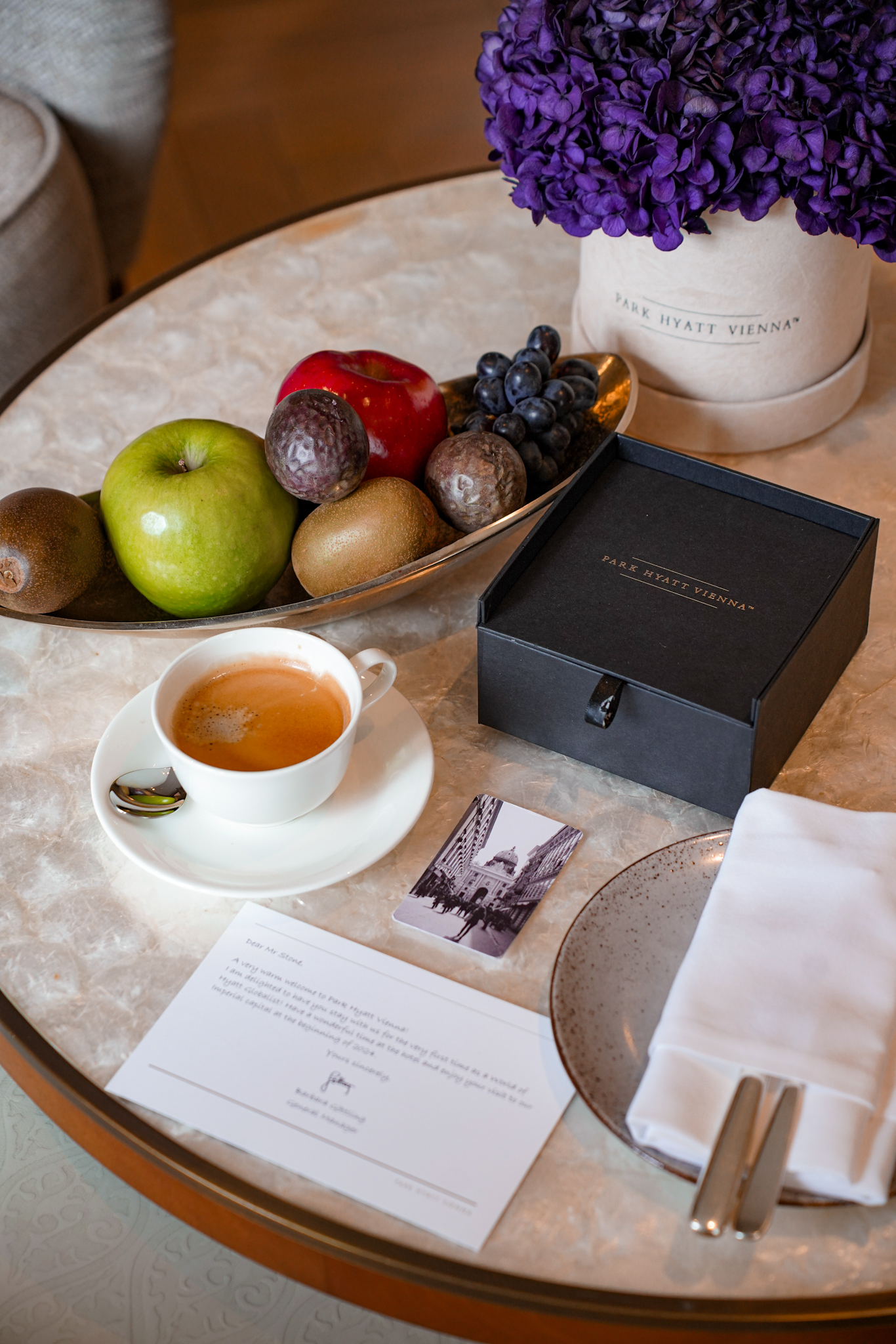 WSҲ{ؐƵ Park Hyatt Vienna ؐ׷