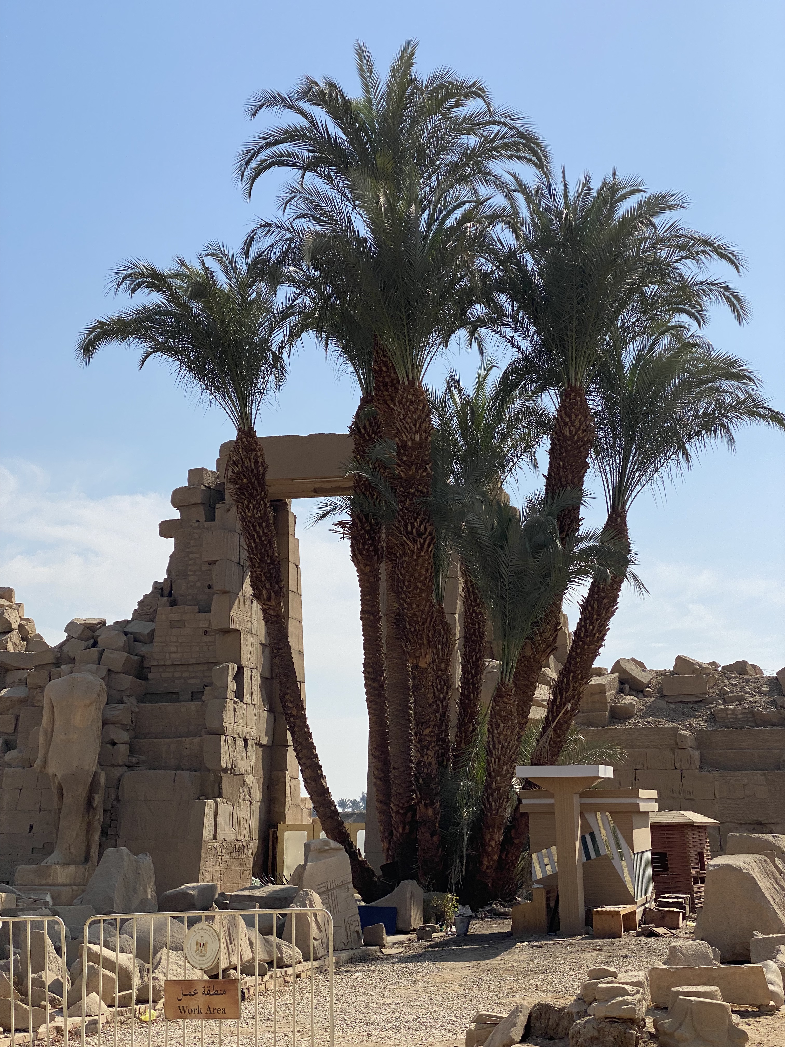 ¬ά¡Ƶ Pavillon Winter Luxor