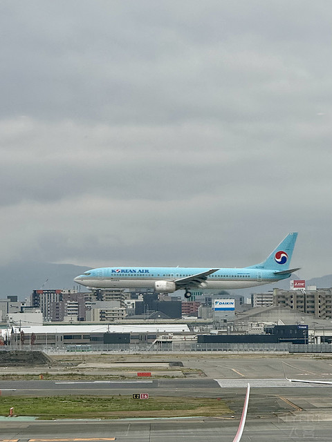 日本航空JL310 福冈D-东京羽田T1 空客350-900头等舱飞行体验
