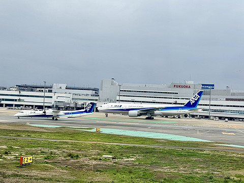 日本航空JL310 福冈D-东京羽田T1 空客350-900头等舱飞行体验