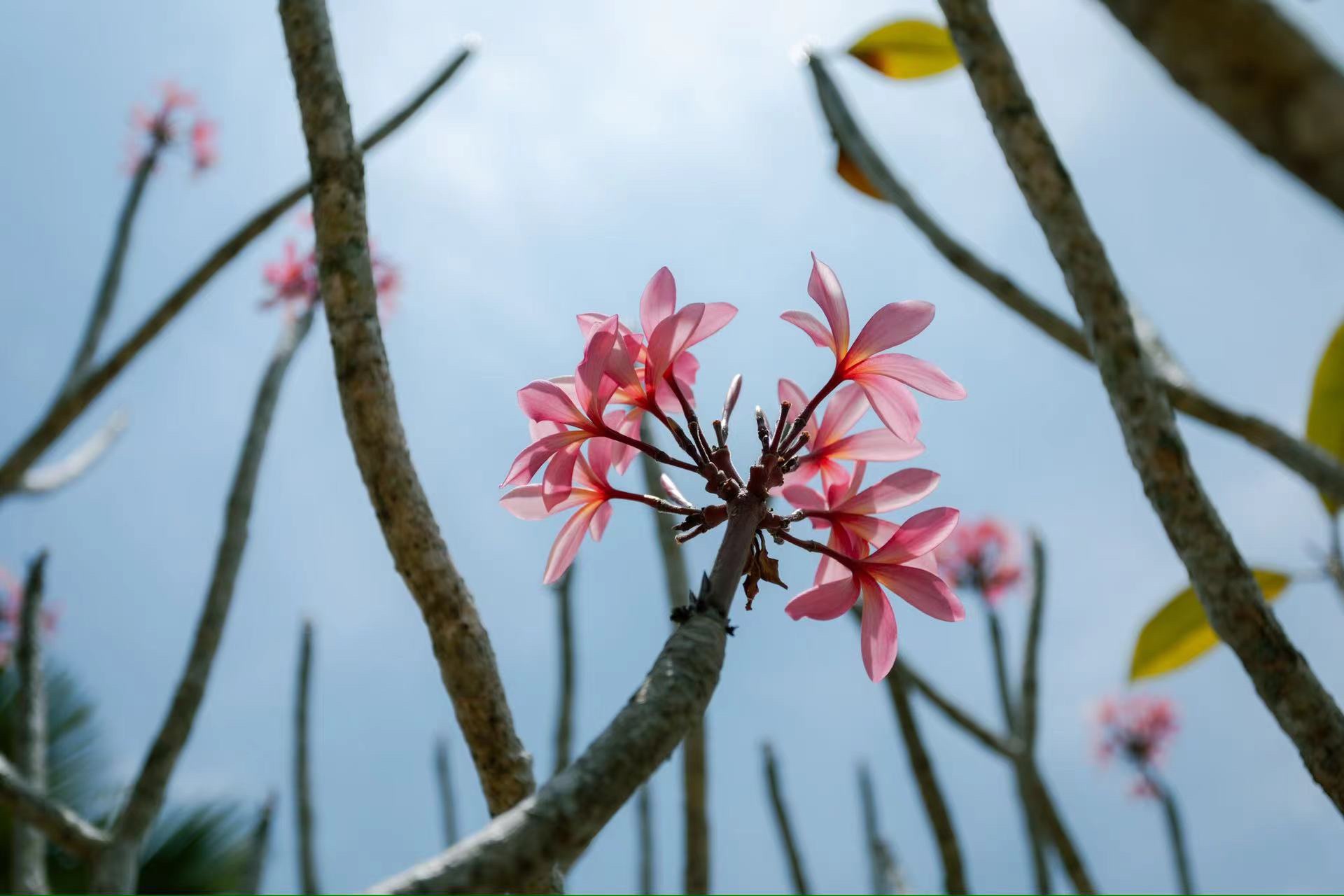 Kira-Le Méridien Kota Kinabalu֮̽ãںִŵĶȼʤ