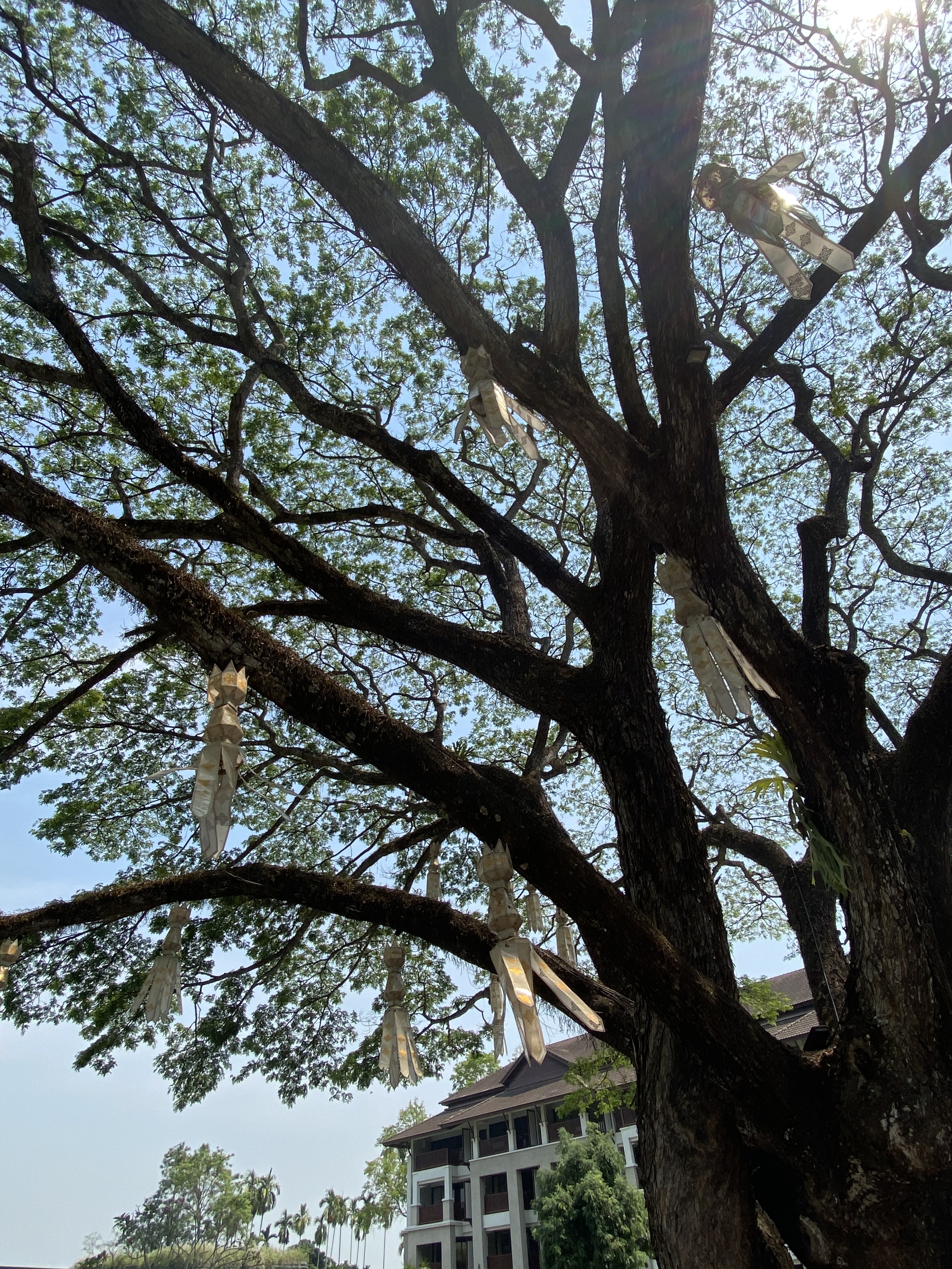 Ƶ ܾ֮