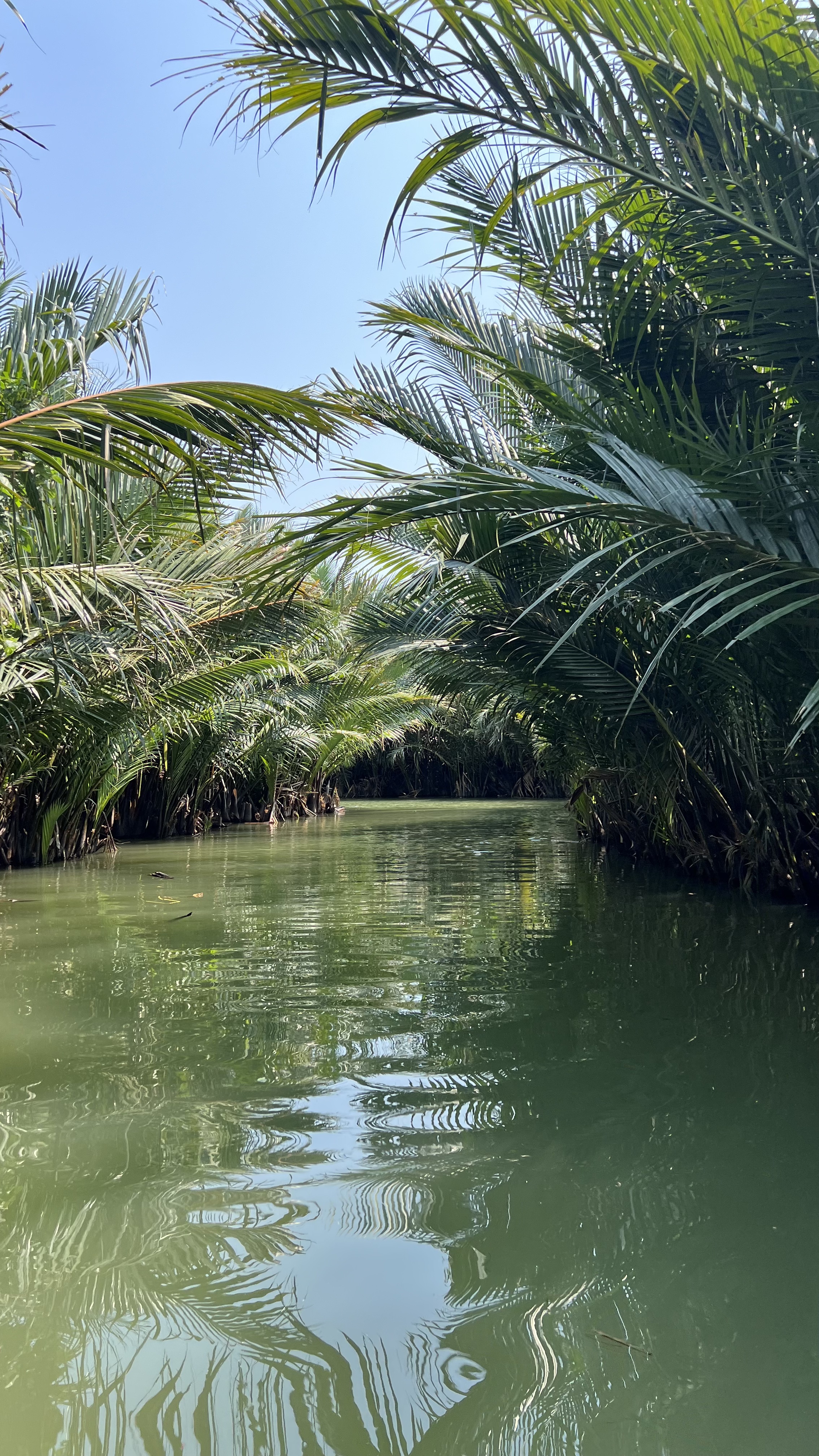 ԽϻᰲȼپƵ(Renaissance Hoi An Resort & Spa)-׷