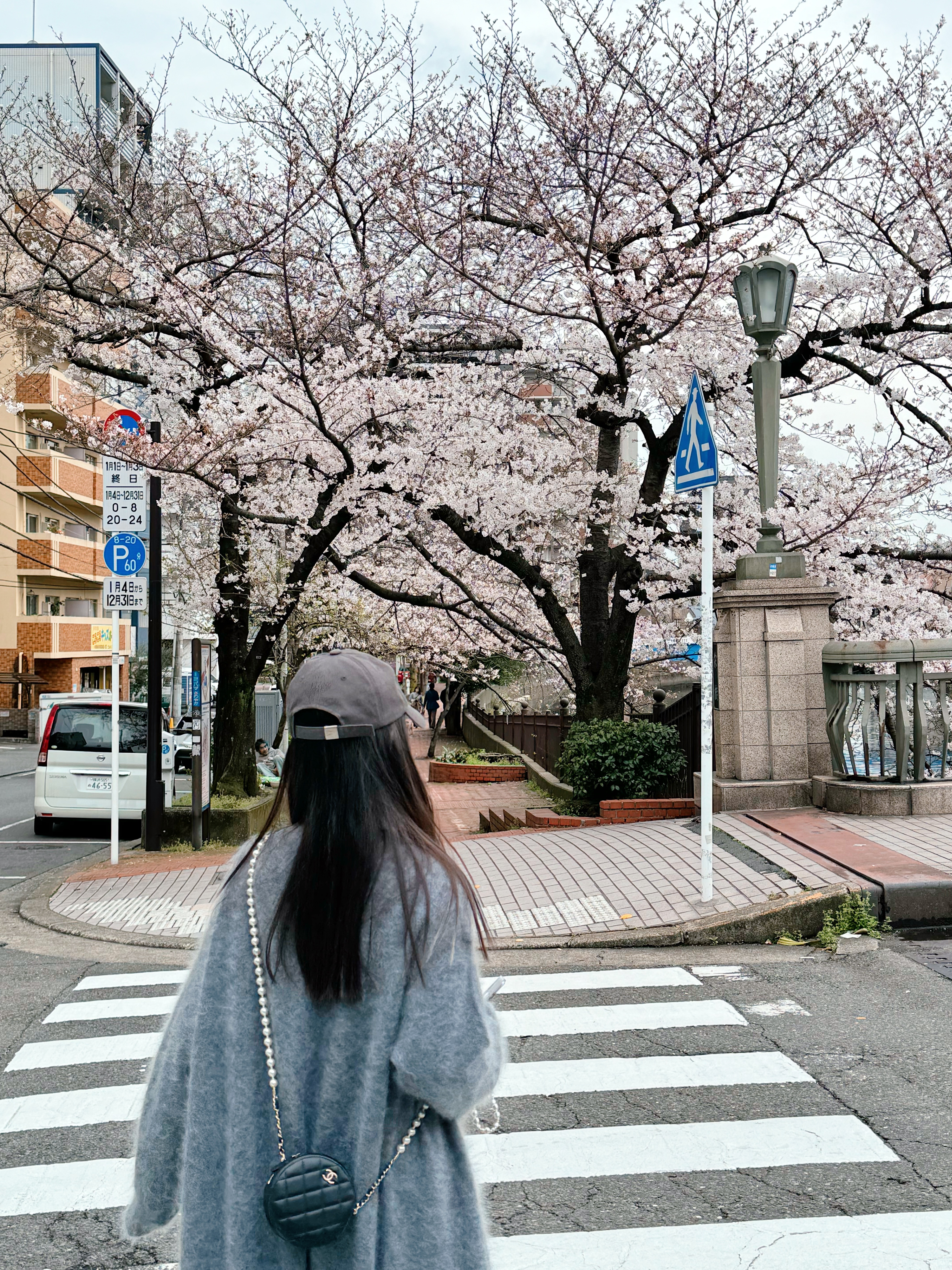 ϲǴƵYokohama Bay Sheraton Hotel and Towers