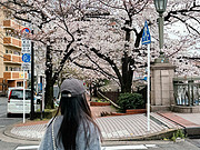 <em>ϲ</em>ƵYokohama Bay Sheraton Hotel and Towers