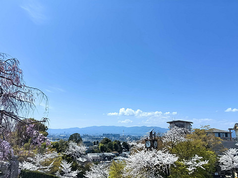 京都全日空皇冠假日酒店入住体验