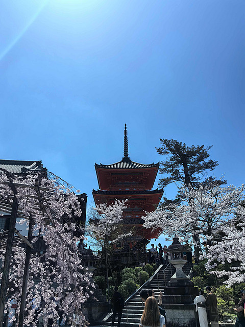 京都全日空皇冠假日酒店入住体验