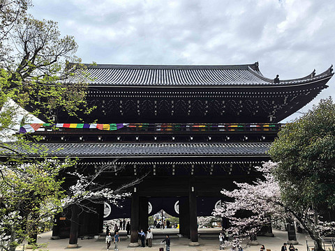 京都全日空皇冠假日酒店入住体验
