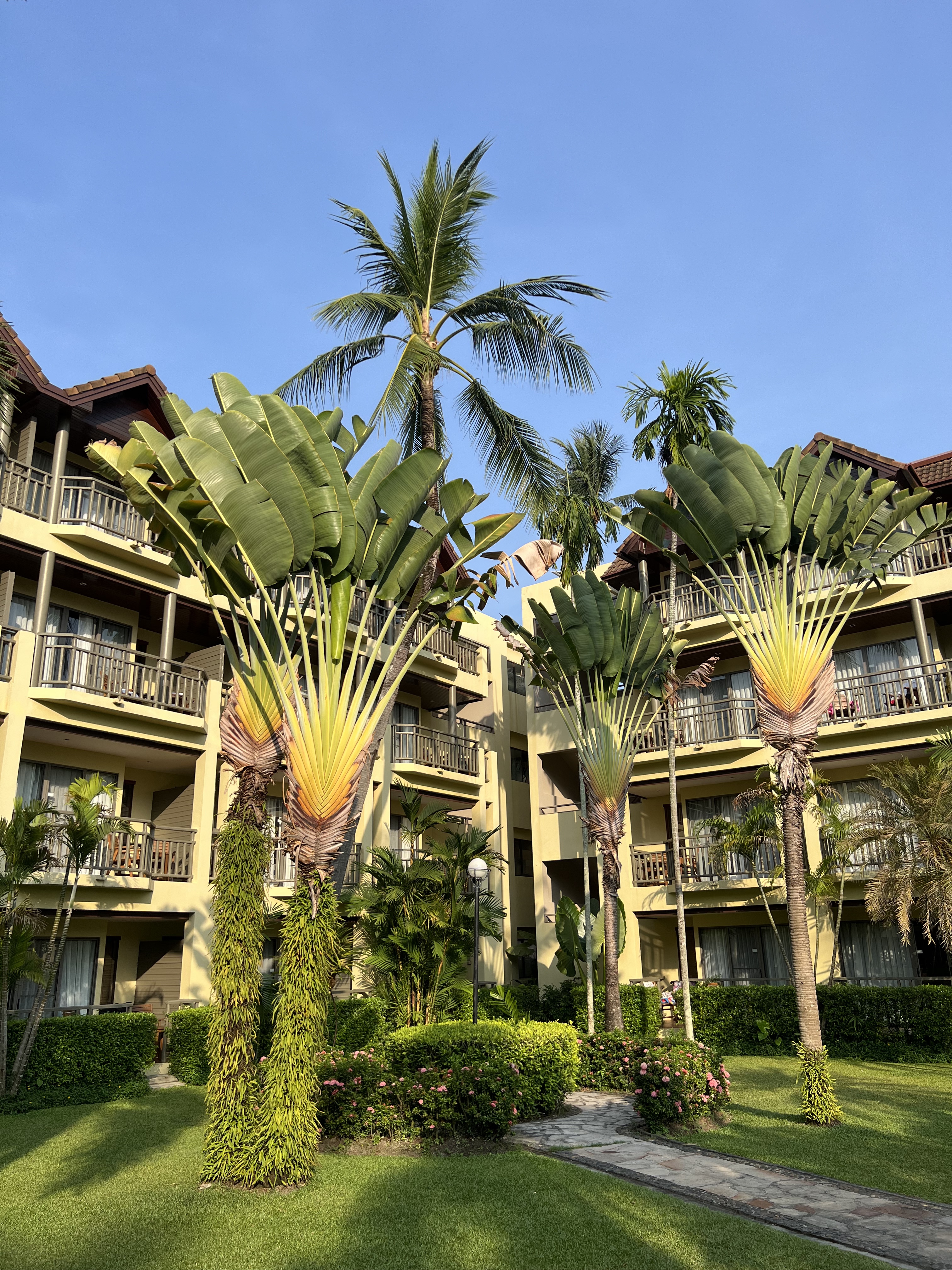 Phuket Marriott Resort & Spa, Merlin Beachռֺ̲ȼٴ