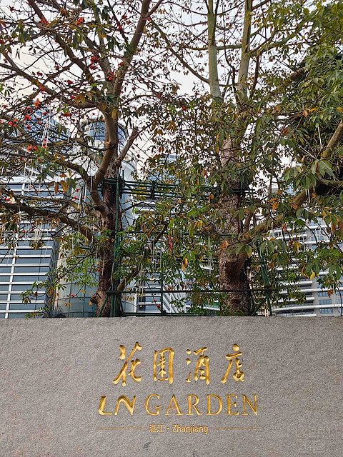 住在湛江｜花园酒店