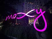 <em>moxy</em>¡-Թҵú޻һҾƵ