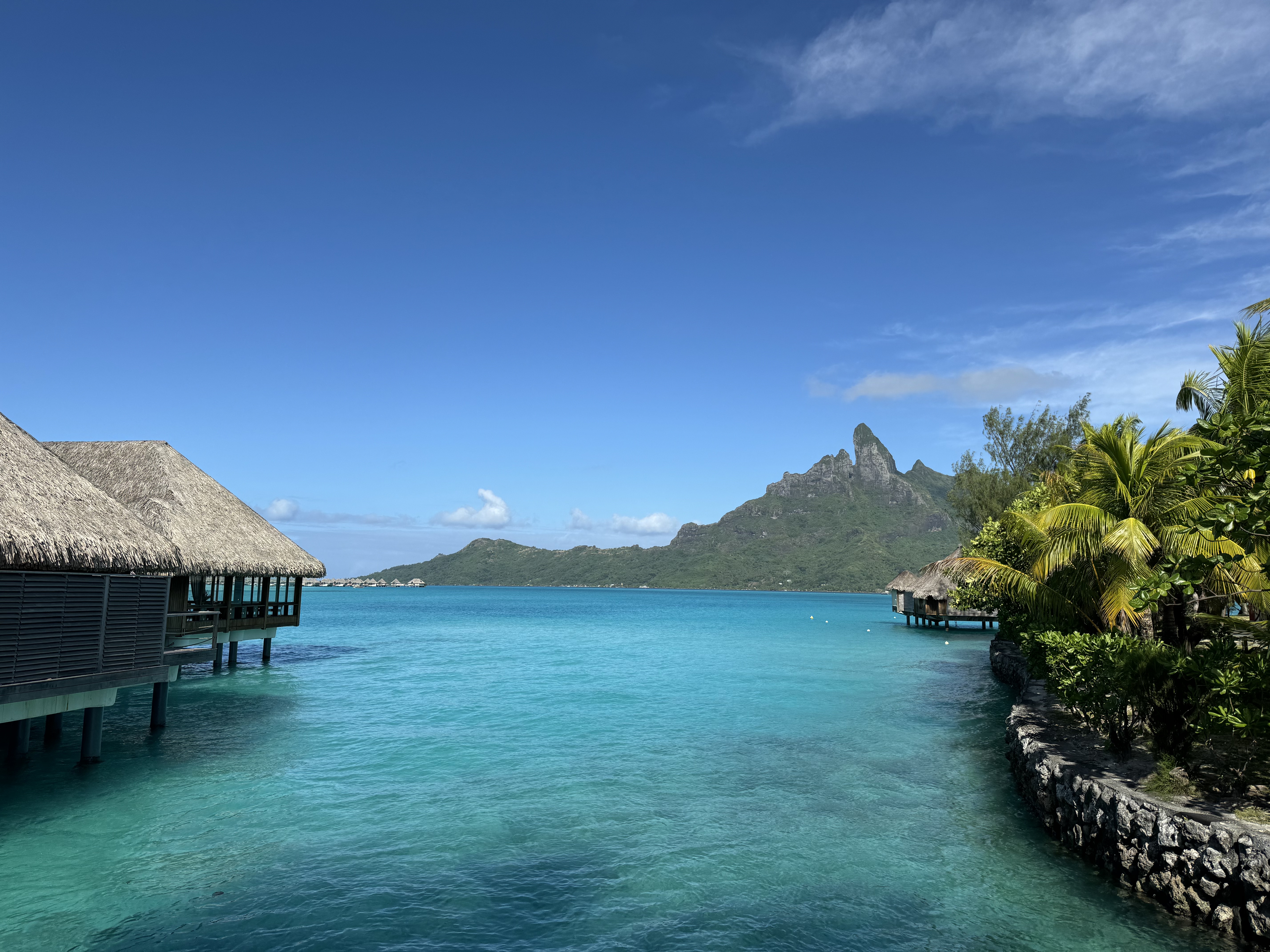 һϪ-һվ-bora bora  