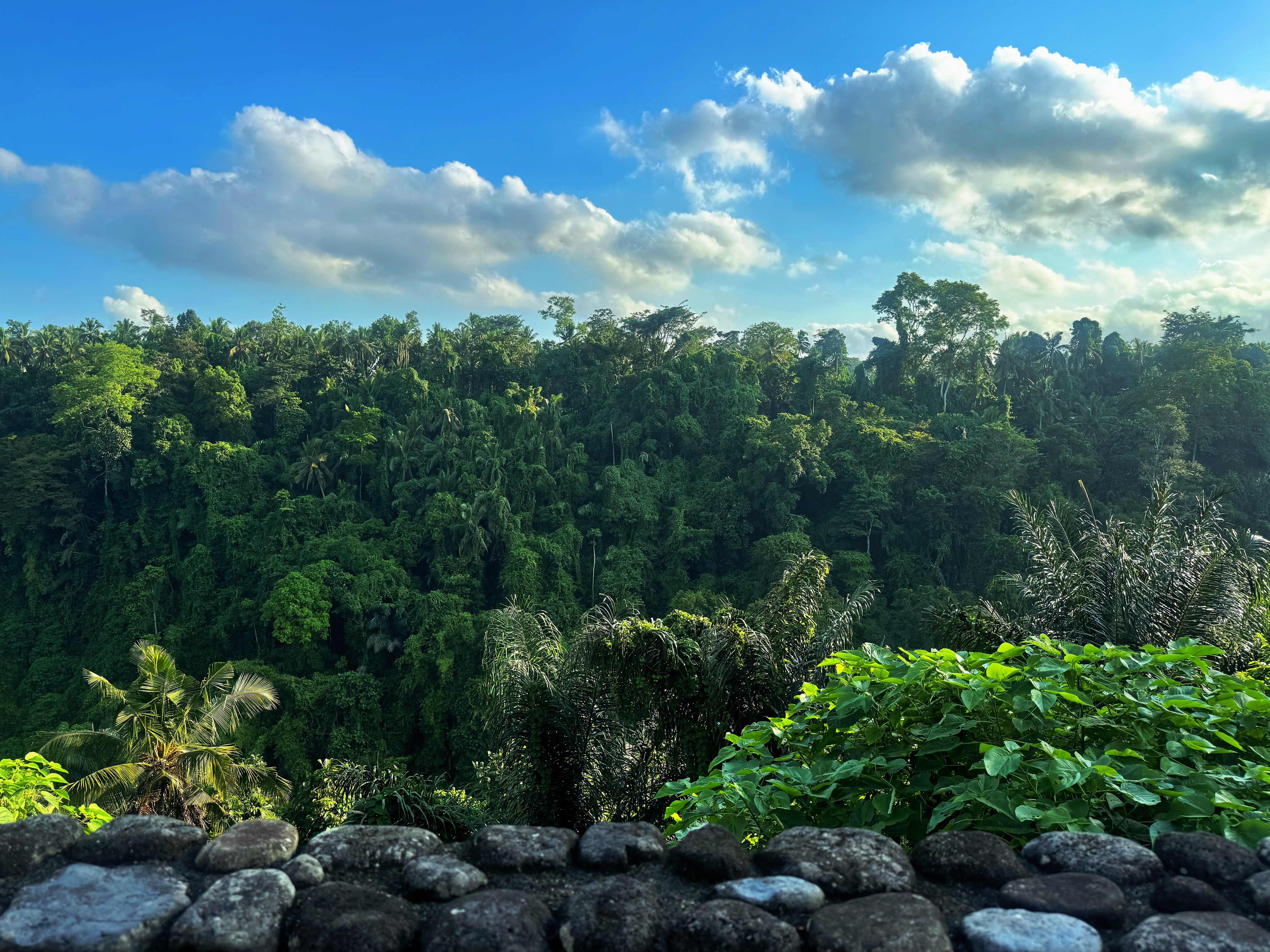 Ͽۡ嵺ڲAlila Ubud