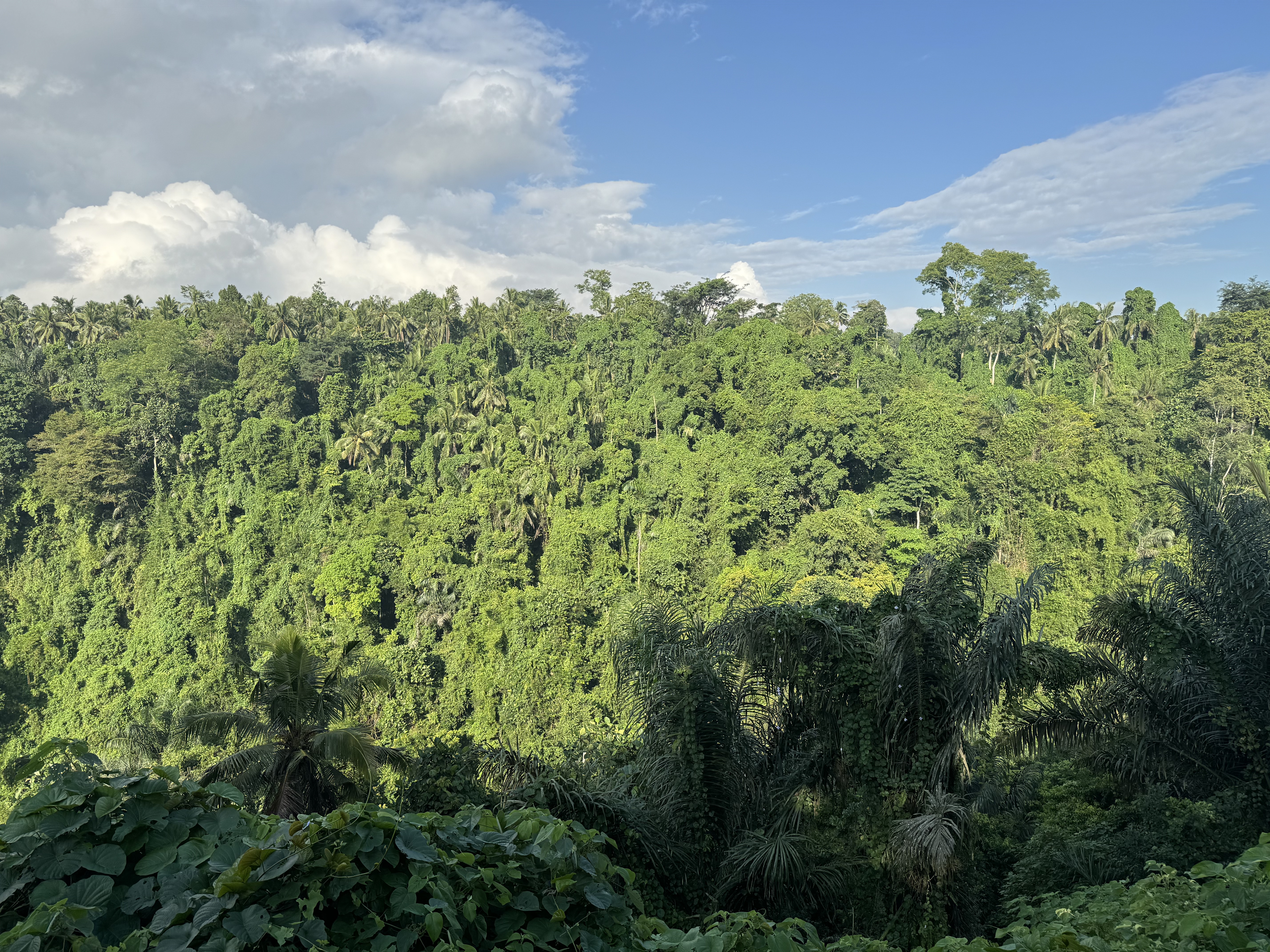 Ͽۡ嵺ڲAlila Ubud