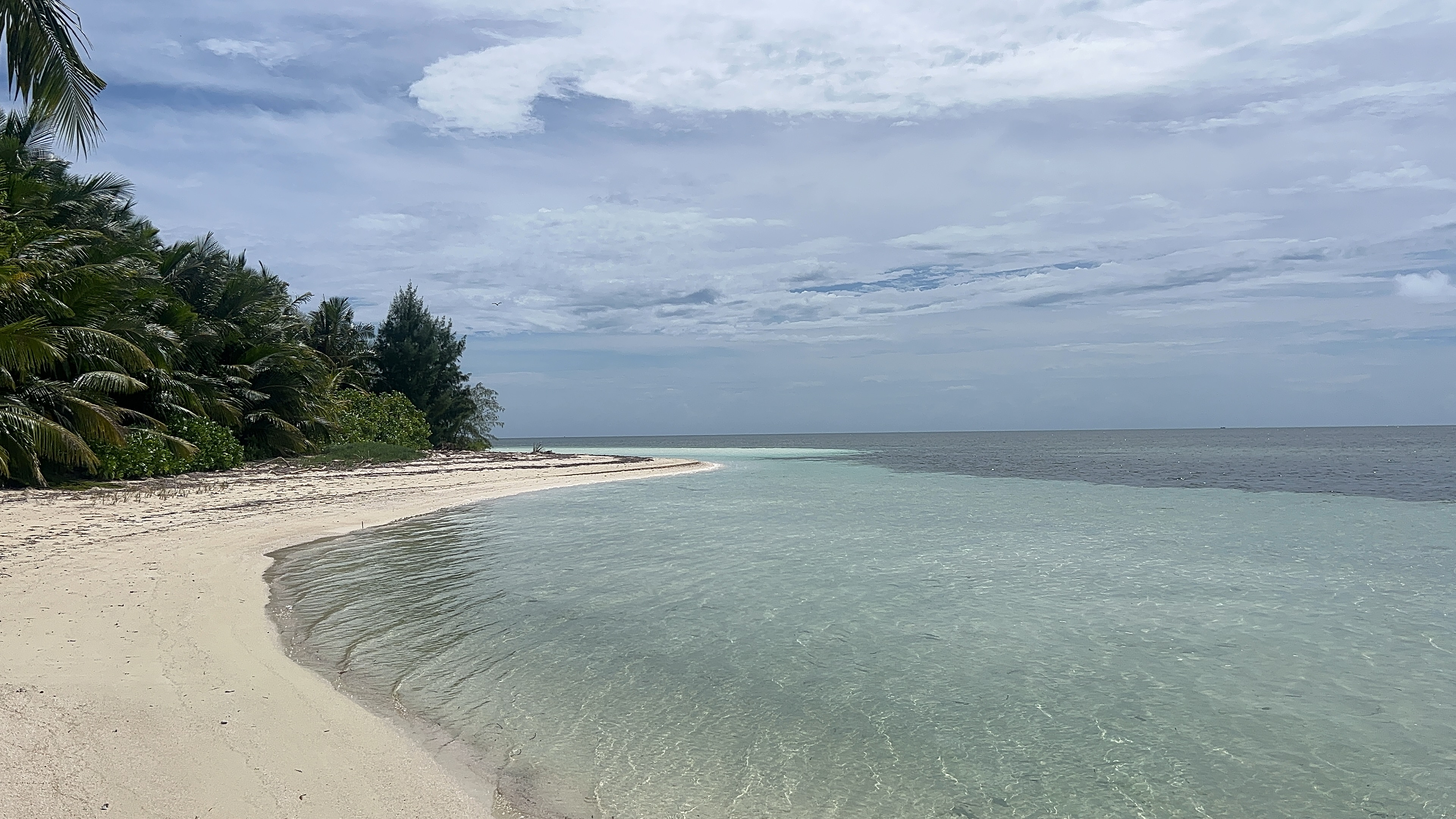 LXR Mango HouseͻWaldorf Astoria Seychelles Platte Island׷