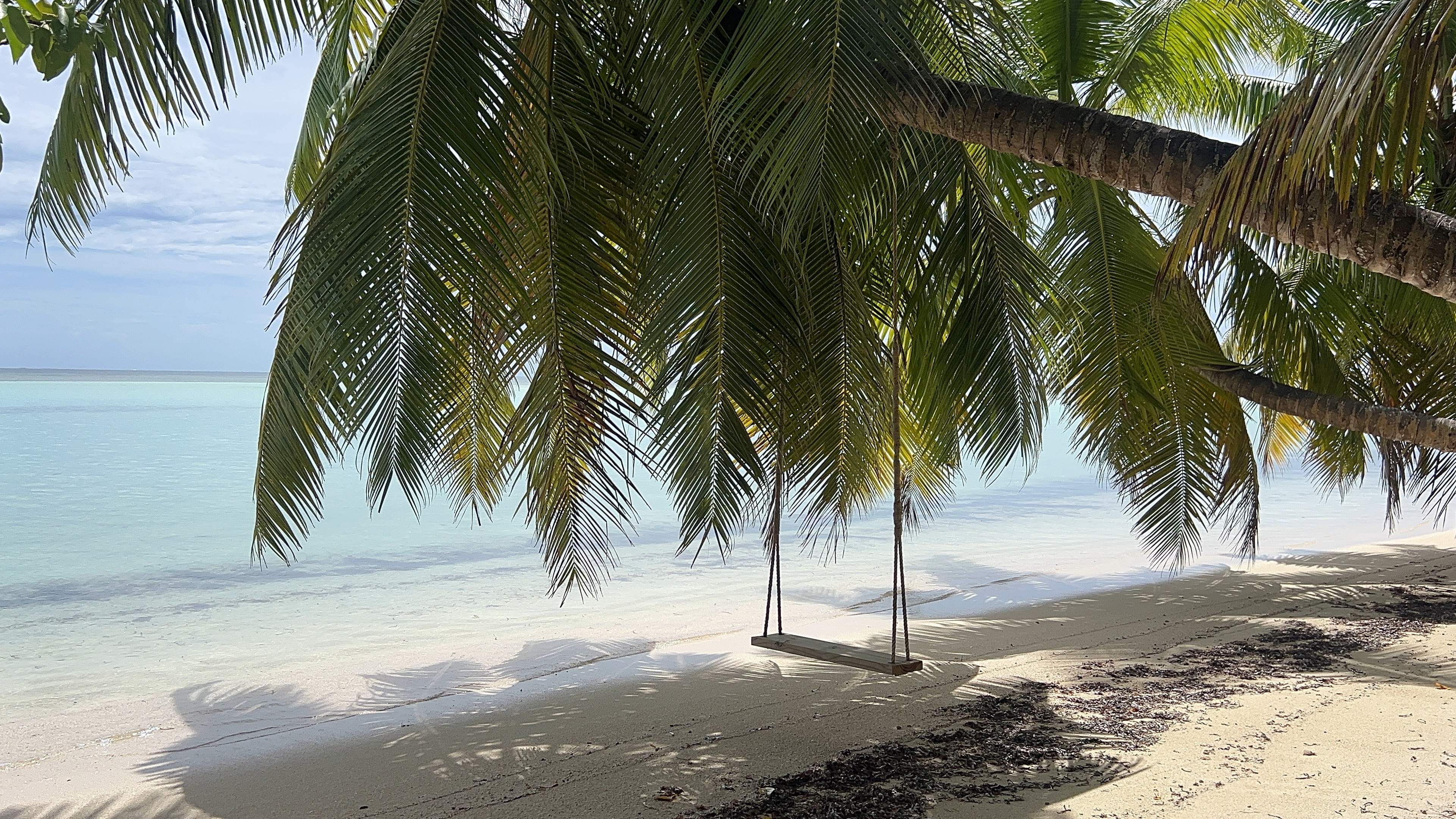 LXR Mango HouseͻWaldorf Astoria Seychelles Platte Island׷