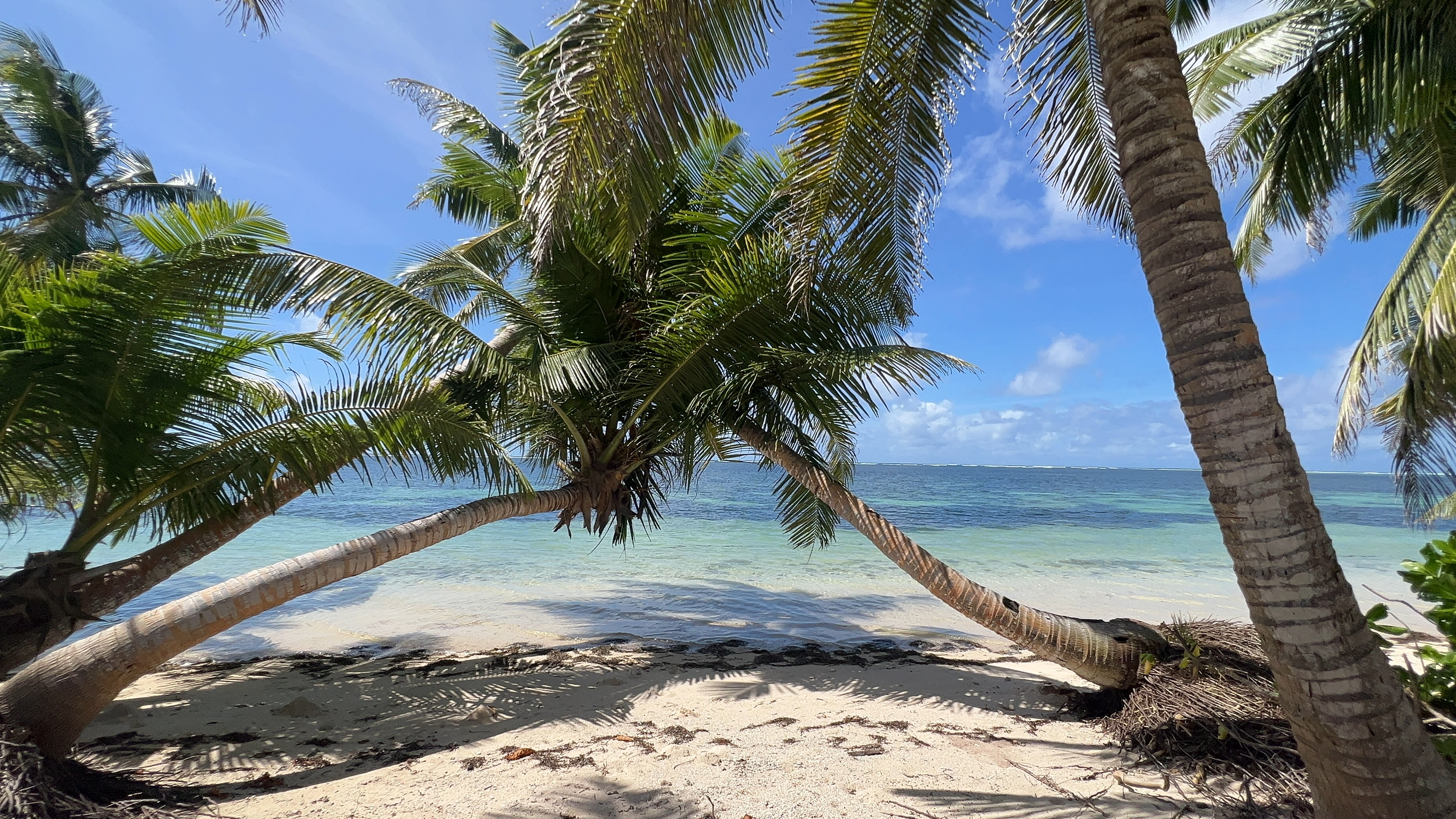 LXR Mango HouseͻWaldorf Astoria Seychelles Platte Island׷