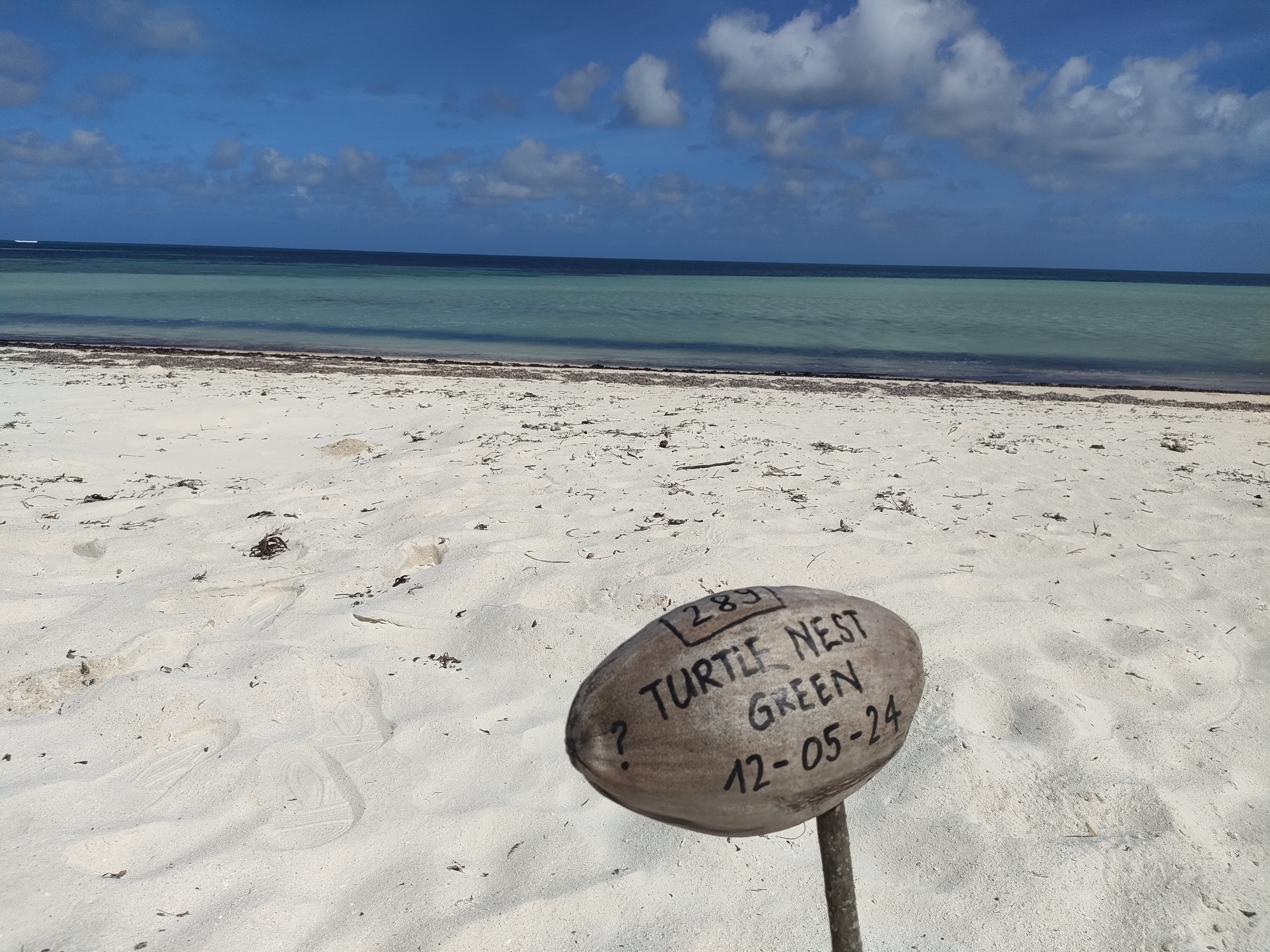 LXR Mango HouseͻWaldorf Astoria Seychelles Platte Island׷