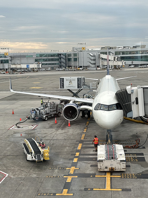 ʥǸ-DL446(SAN-JFK)