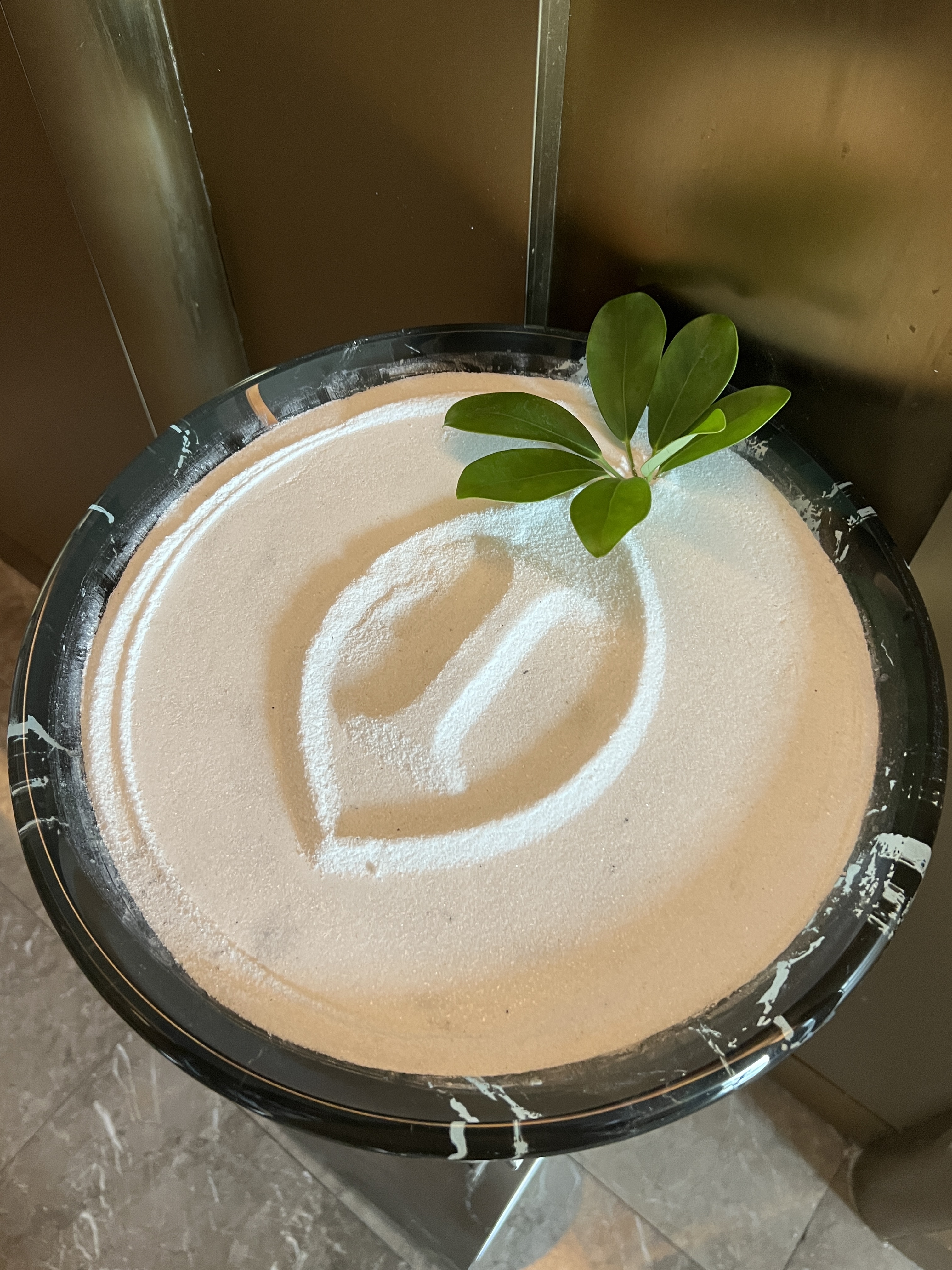 ڻ޼ʾƵ🏨ס