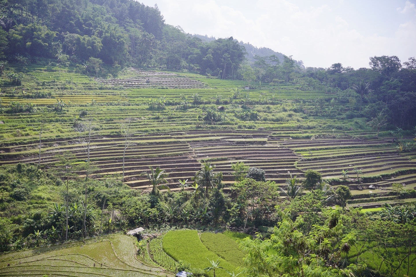 СcǵğfƵYogyakarta Marriott HotelDࣩ