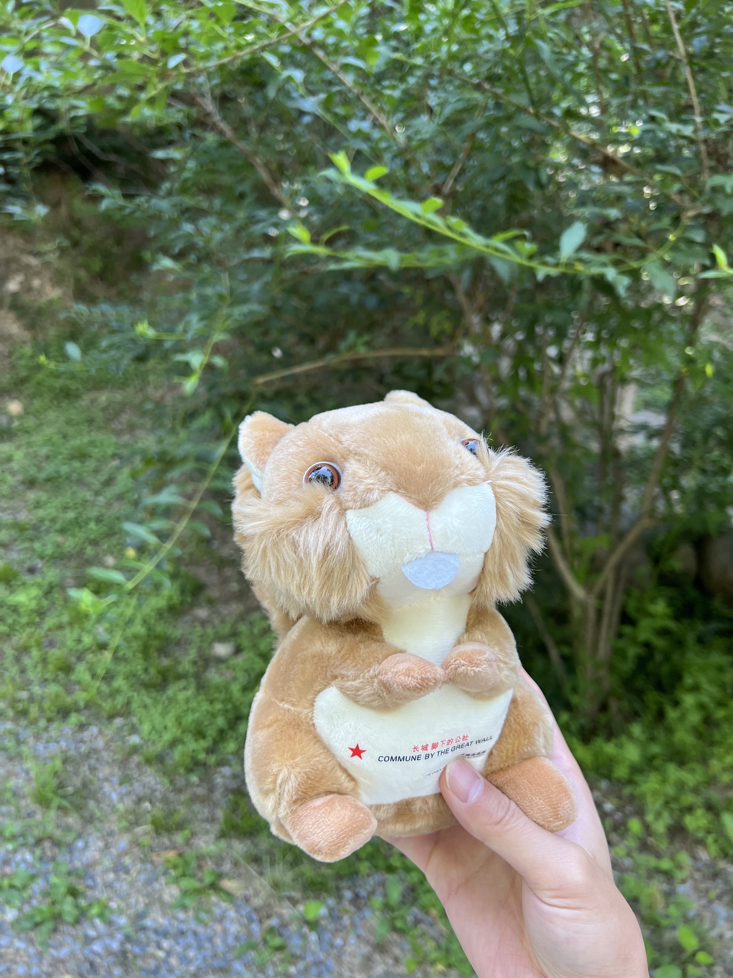 ġǽµĹ