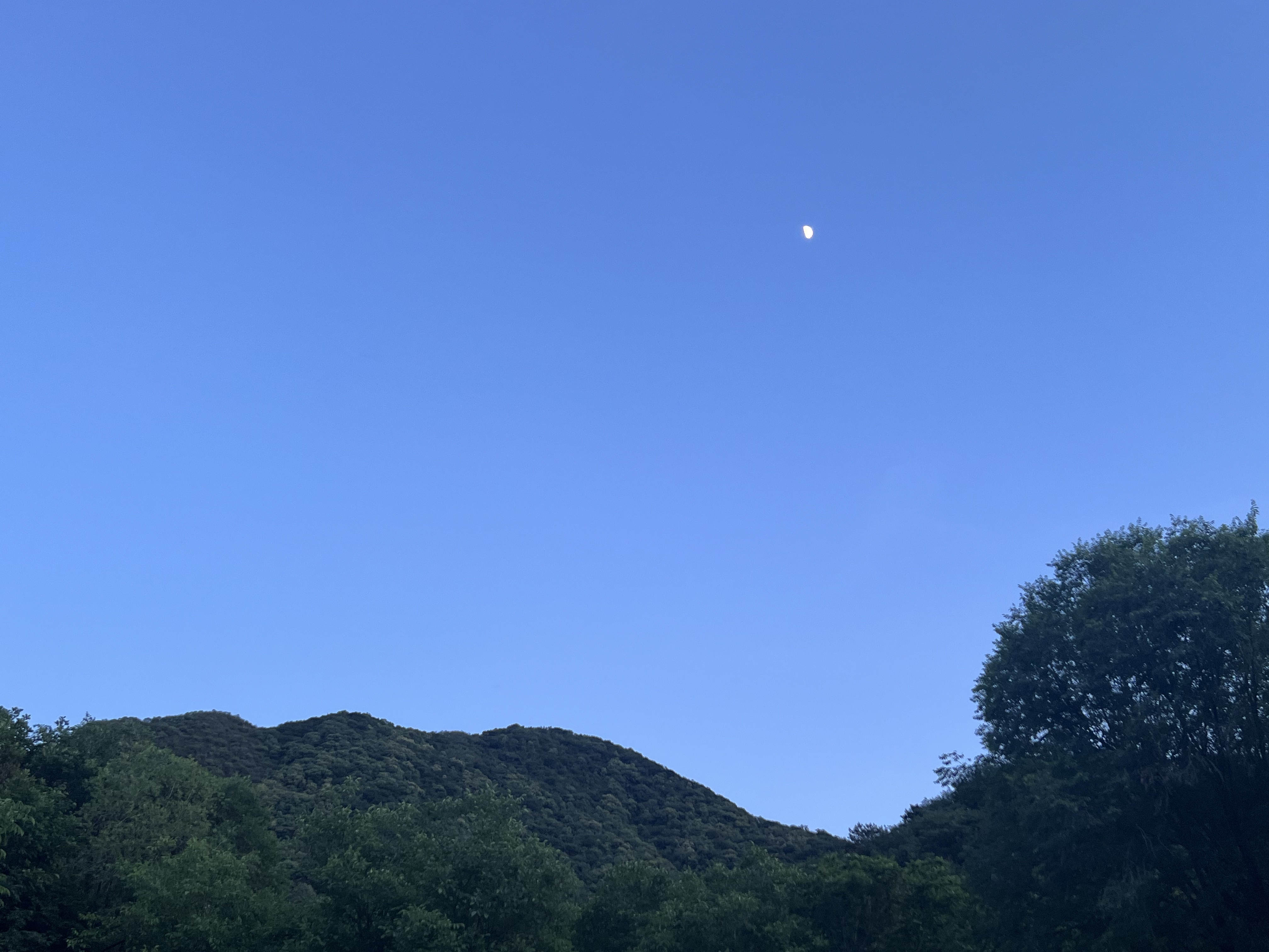 ġǽµĹ