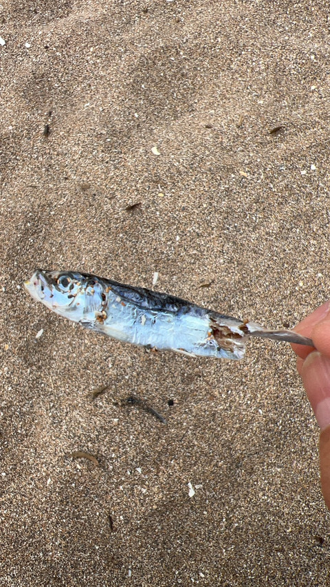 济州岛度假首选——济州岛新罗酒店