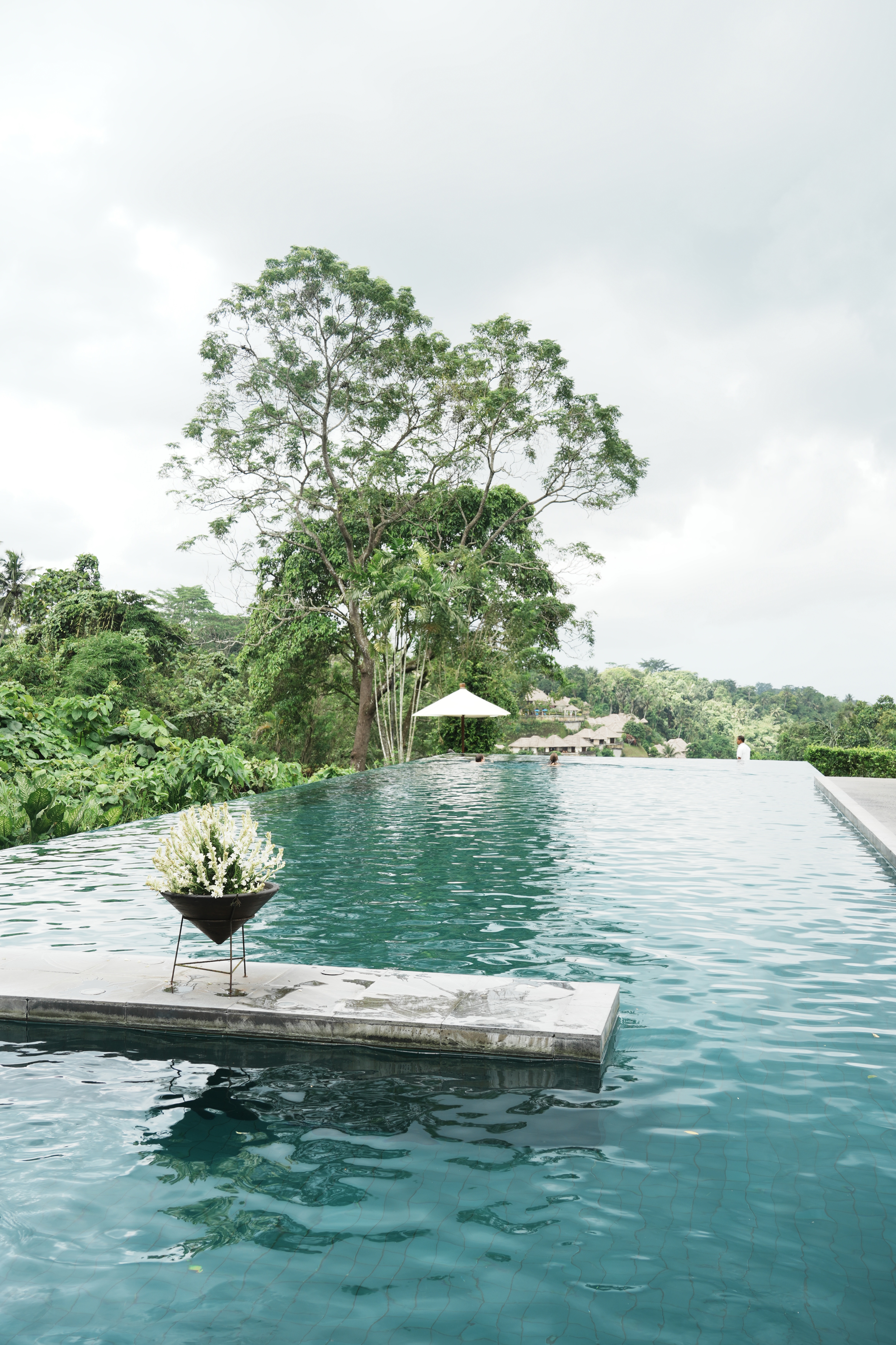 Alila Ubudڲ-ȴֵѺþƵ🐒