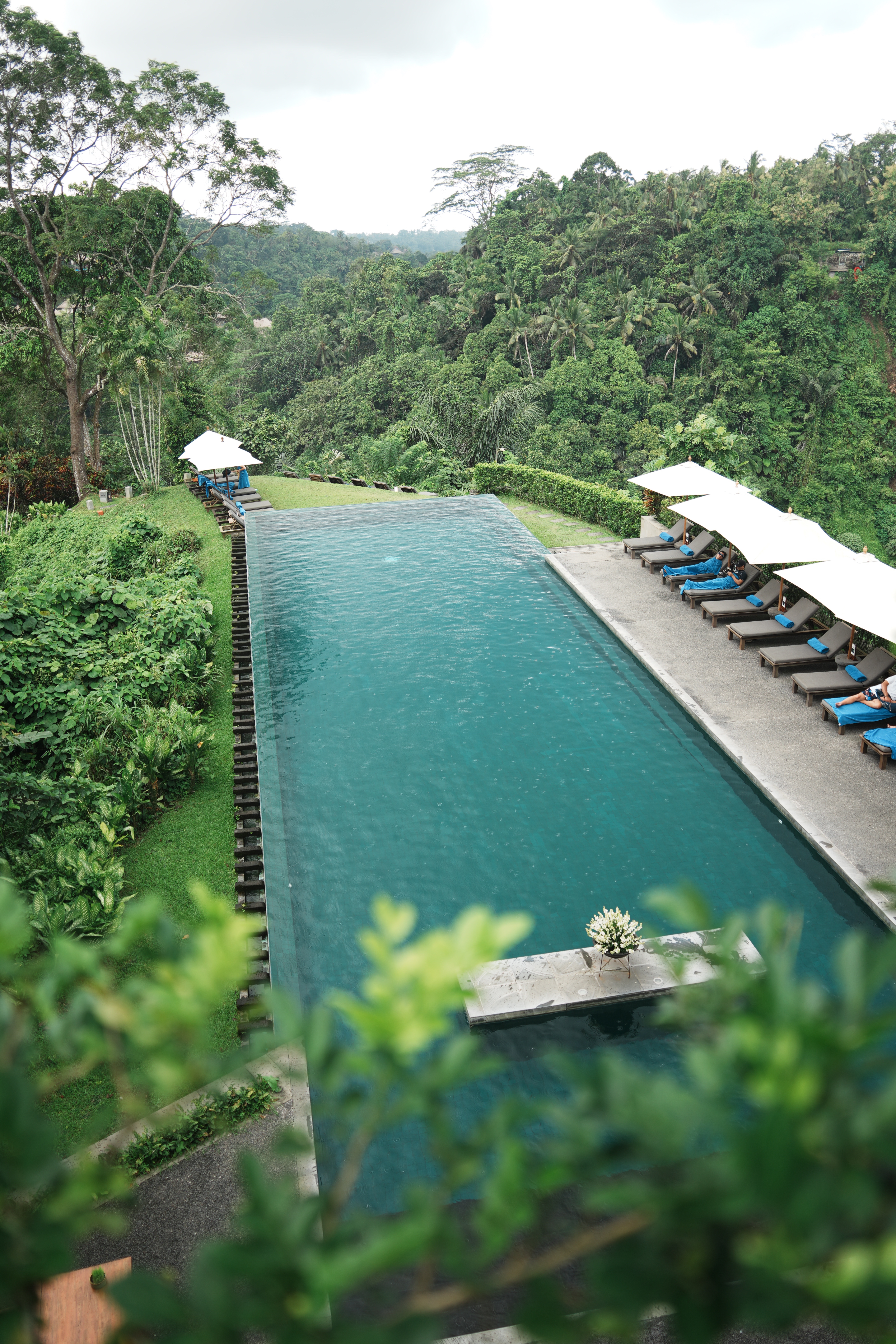 Alila Ubudڲ-ȴֵѺþƵ🐒