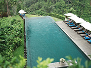 <em>Alila</em> Ubudڲ-ȴֵѺþƵ&128018;
