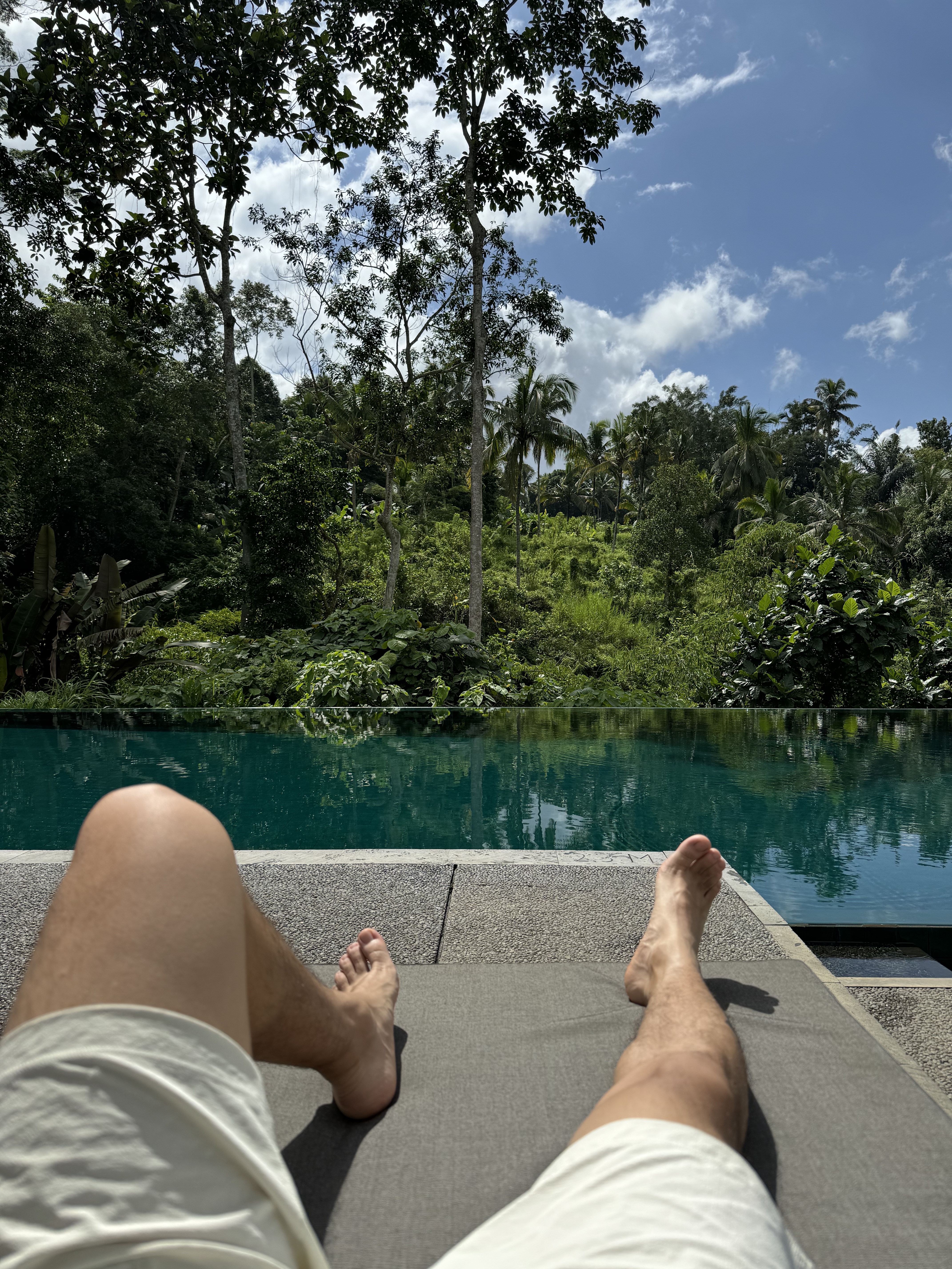 Alila Ubudڲ-ȴֵѺþƵ🐒