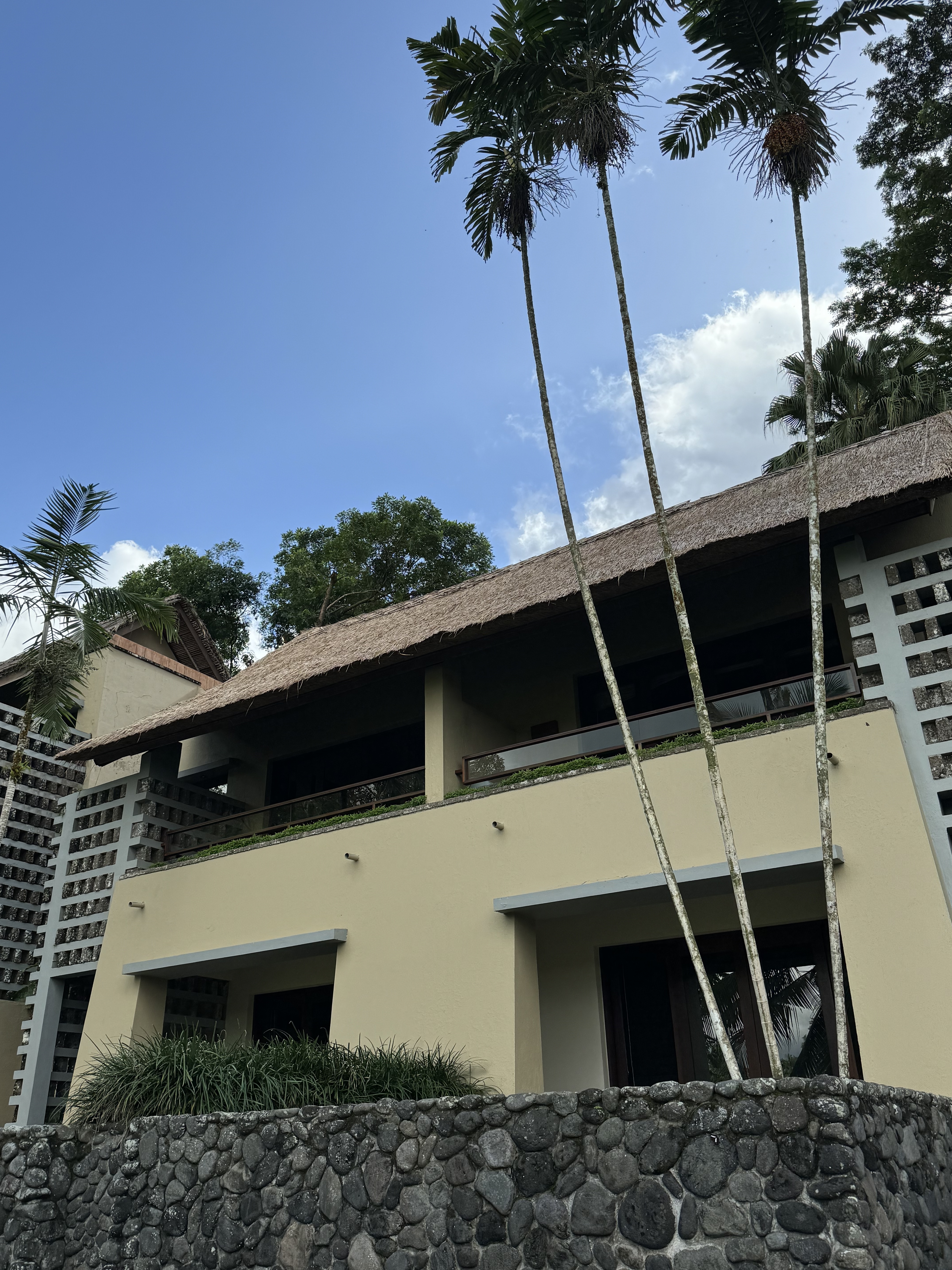 Alila Ubudڲ-ȴֵѺþƵ🐒