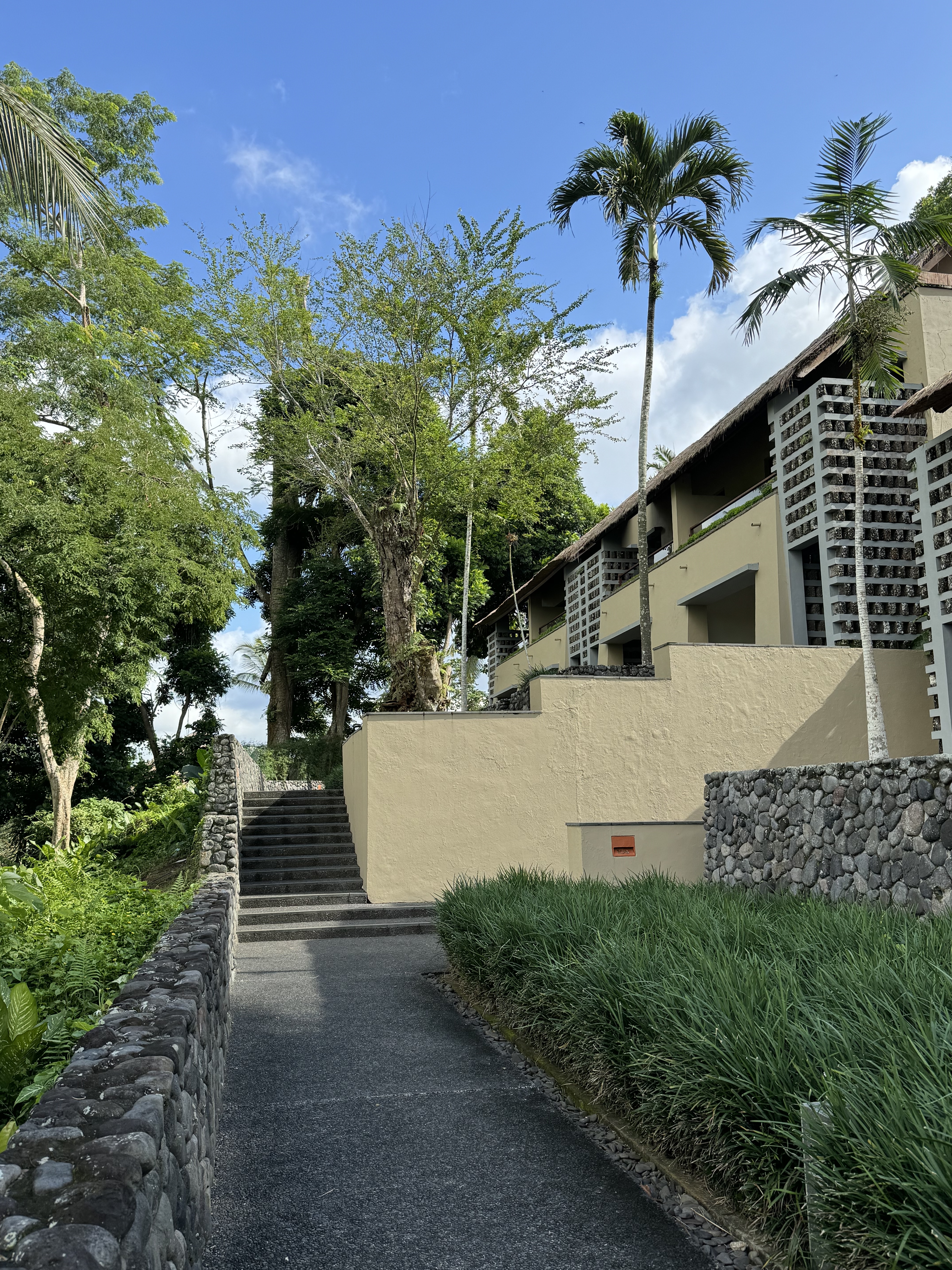 Alila Ubudڲ-ȴֵѺþƵ🐒