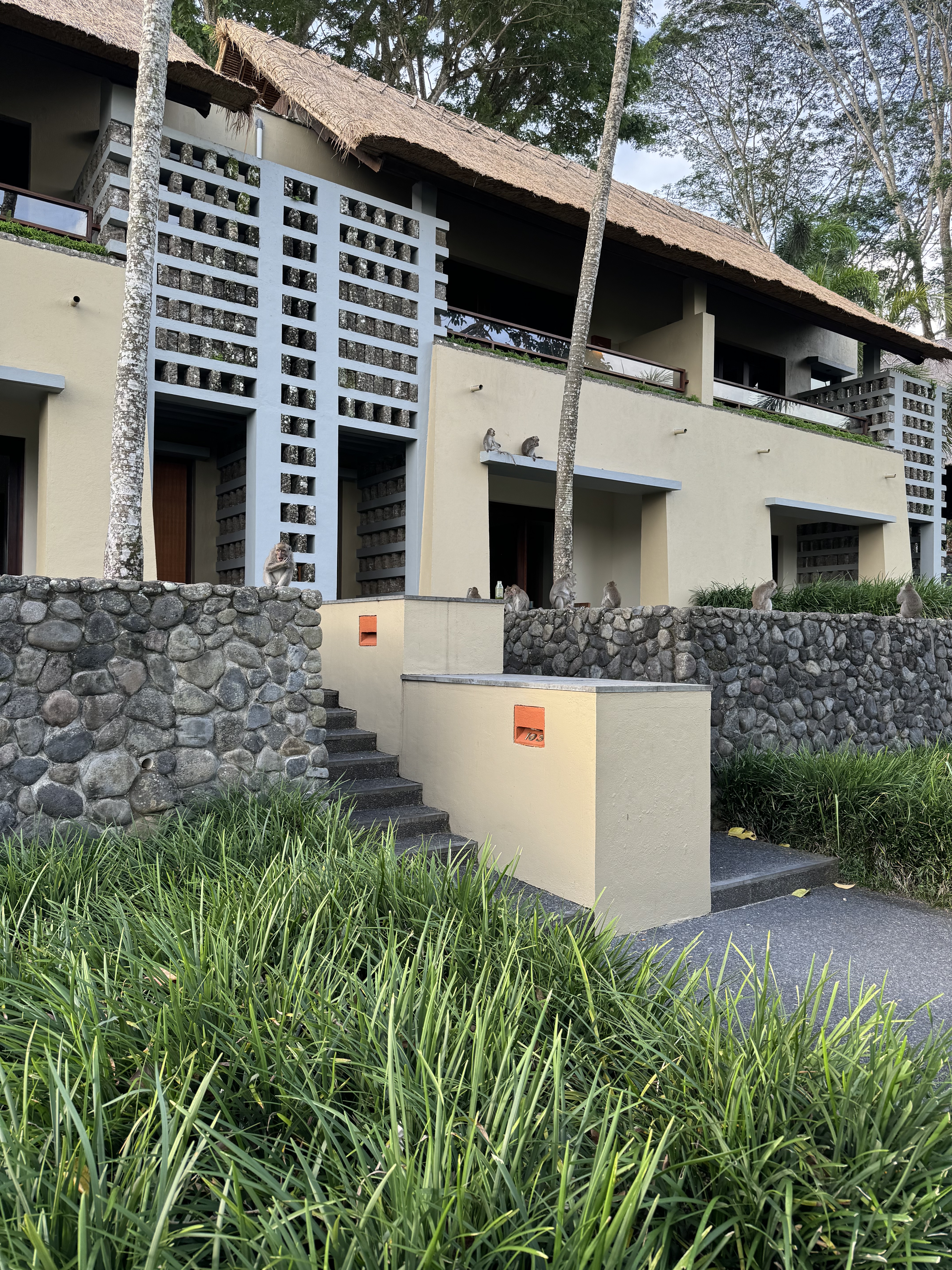 Alila Ubudڲ-ȴֵѺþƵ🐒