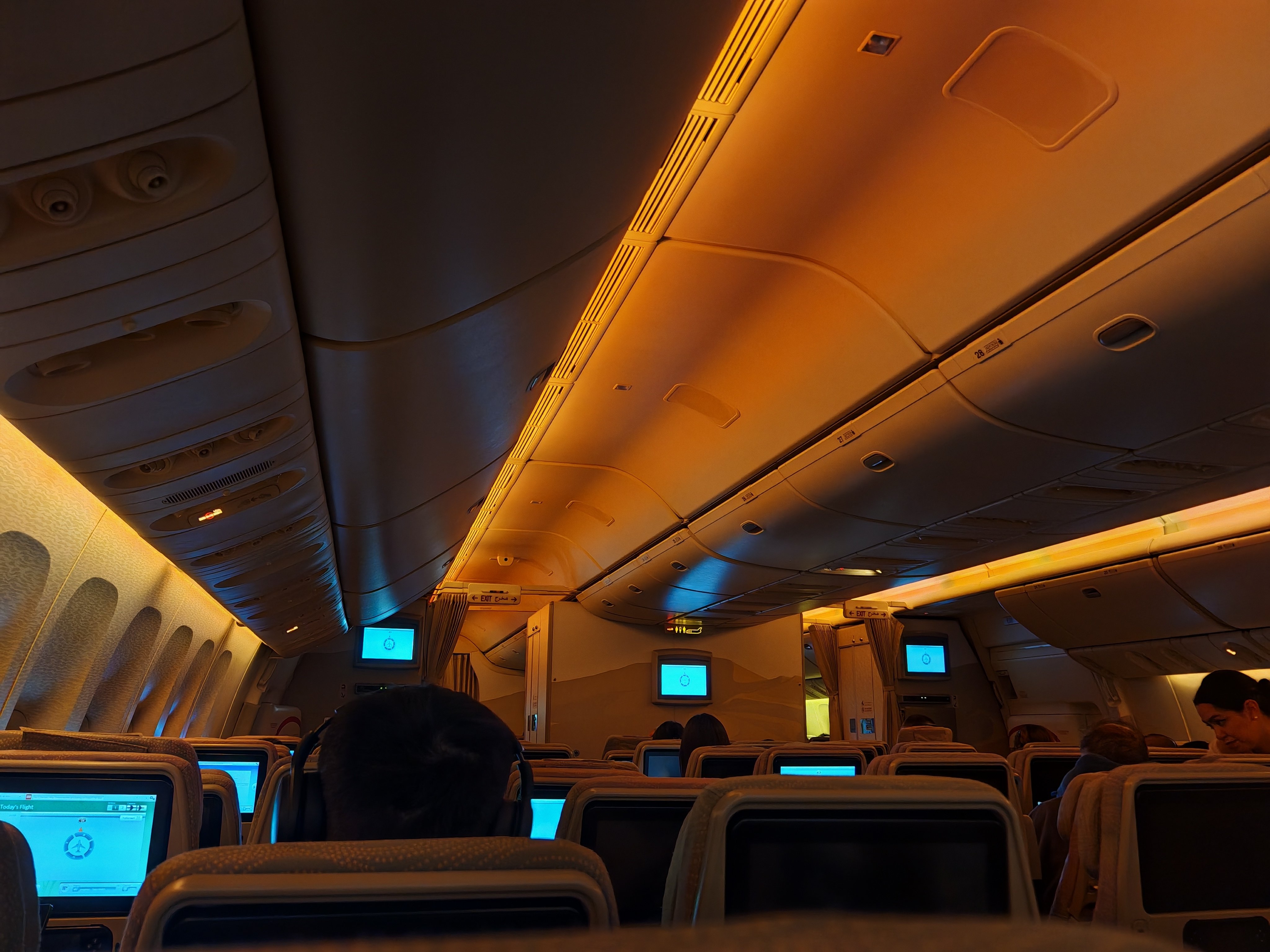 Сգ׶✈ϡ