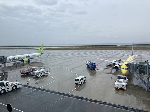 Solaseed Air日本空之子航空 那霸-神户B737超宽间距好评推荐