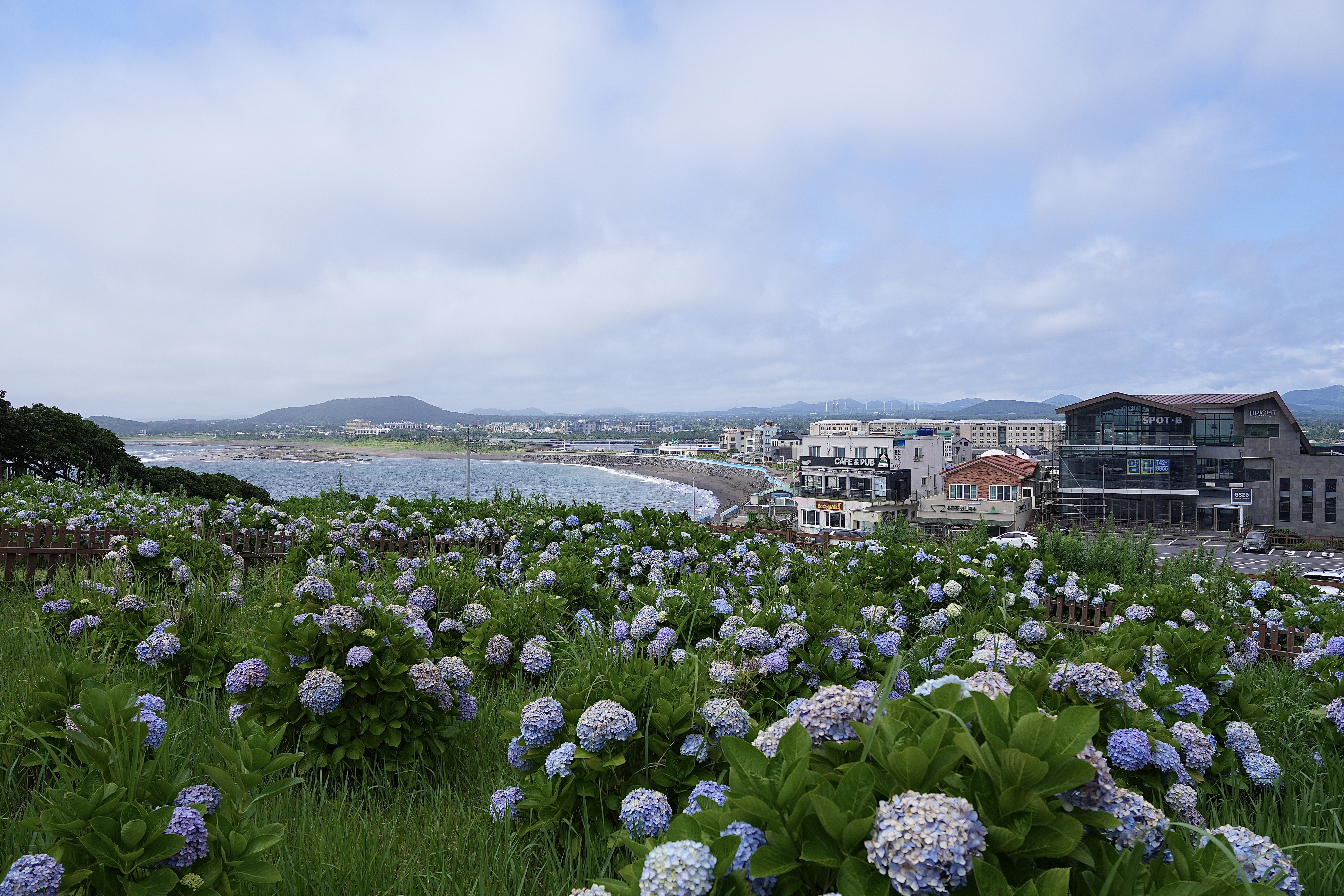 ֵݵJW JW Marriott Jeju