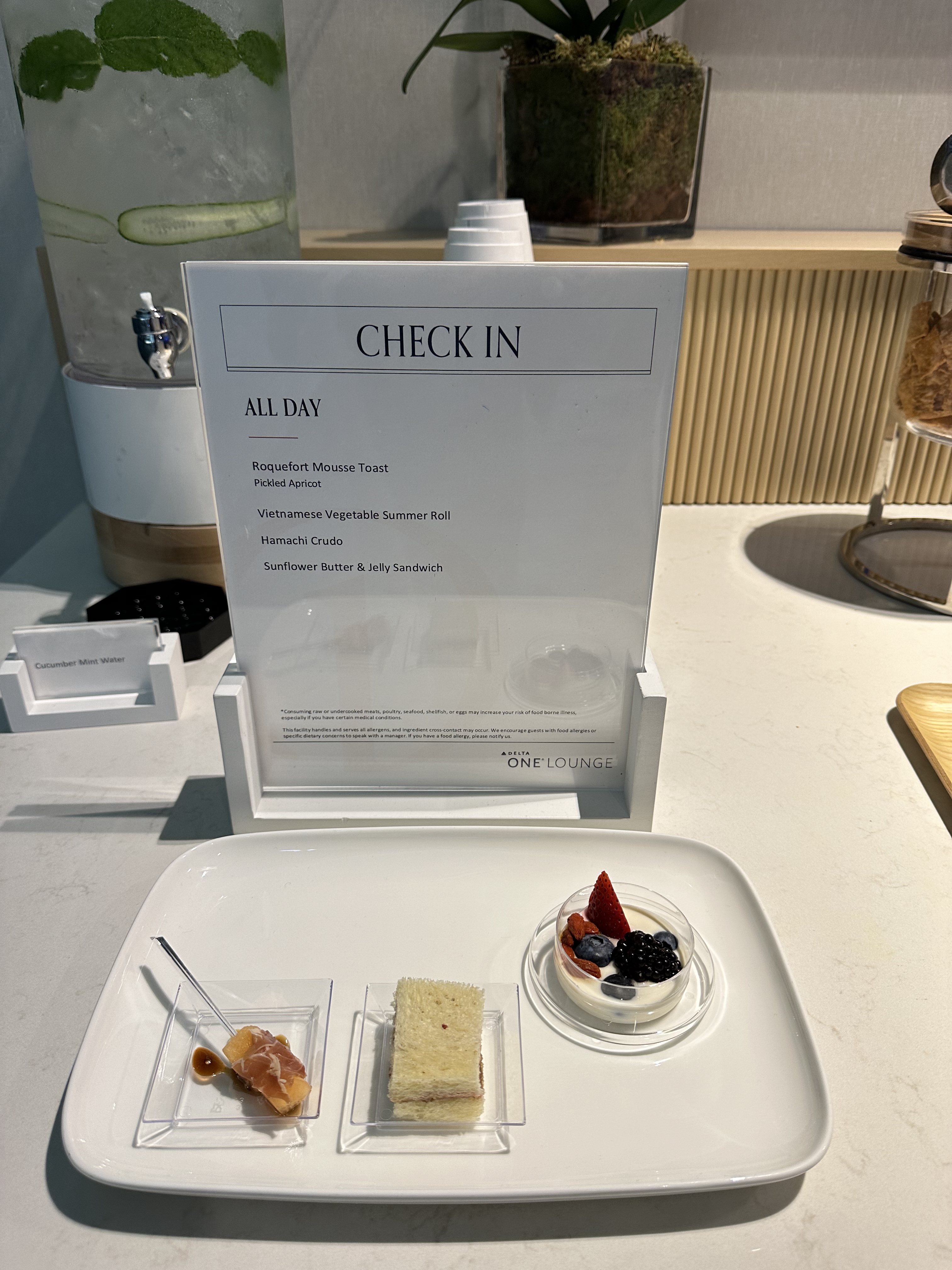 ŦԼJFKȫDelta One Lounge-DL742(JFK-LAX)